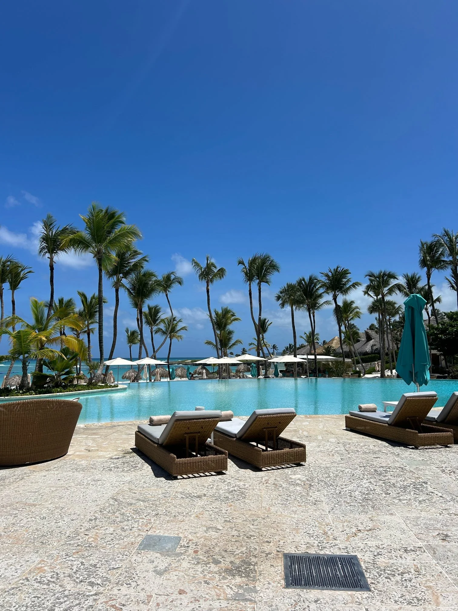 Caribbean - Palm Trees and Blue Sky.jpg