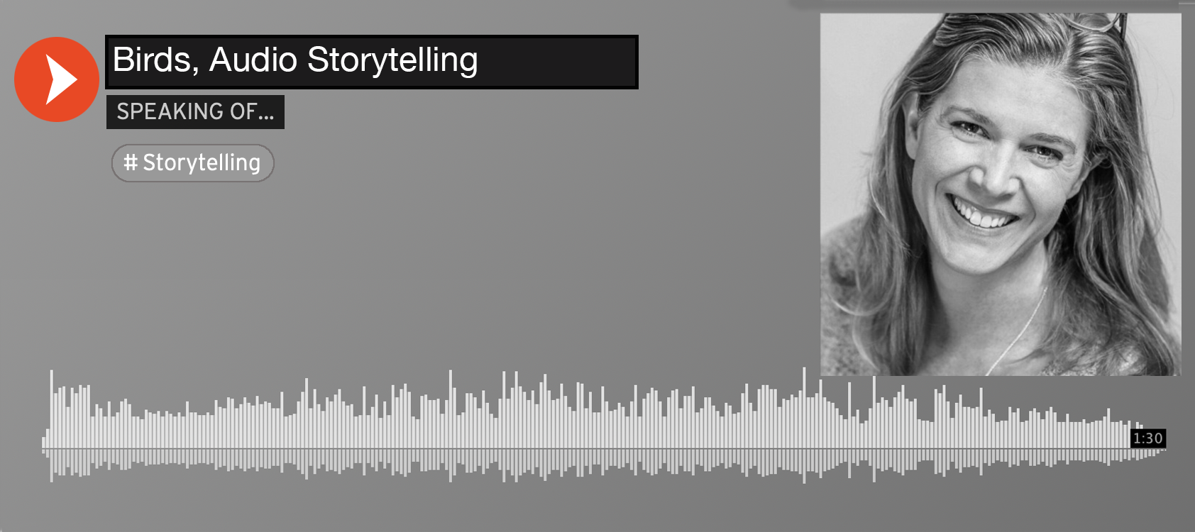 Birds, Audio Storytelling