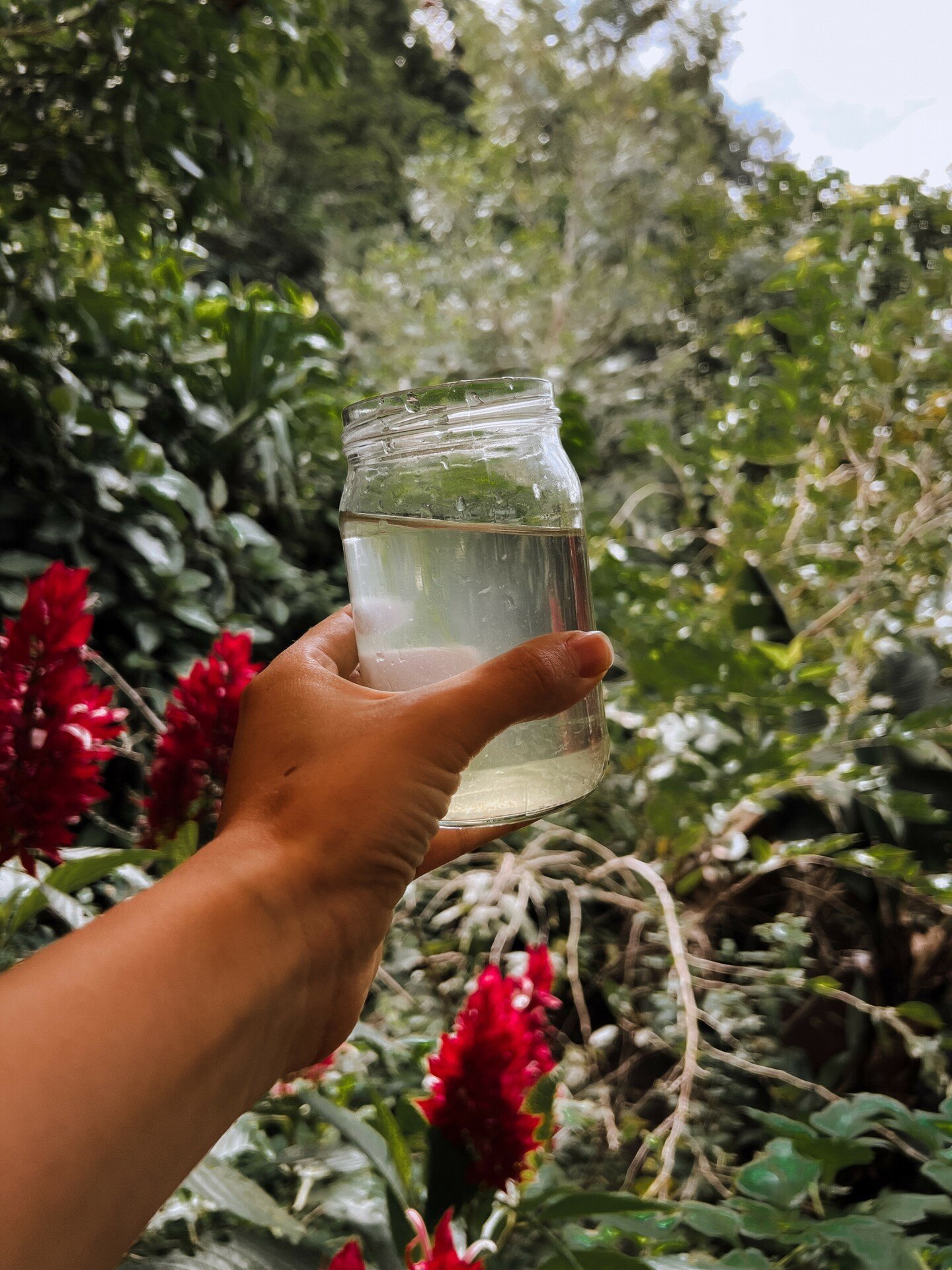 Unsure of the best way to take your minerals? Here's a tip! One of our favorite ways is to squeeze 10 drops of your Simplicity Biome minerals into a glass, squeeze a slice of fresh lime or lemon, and then add filtered water. Super easy and delicious!