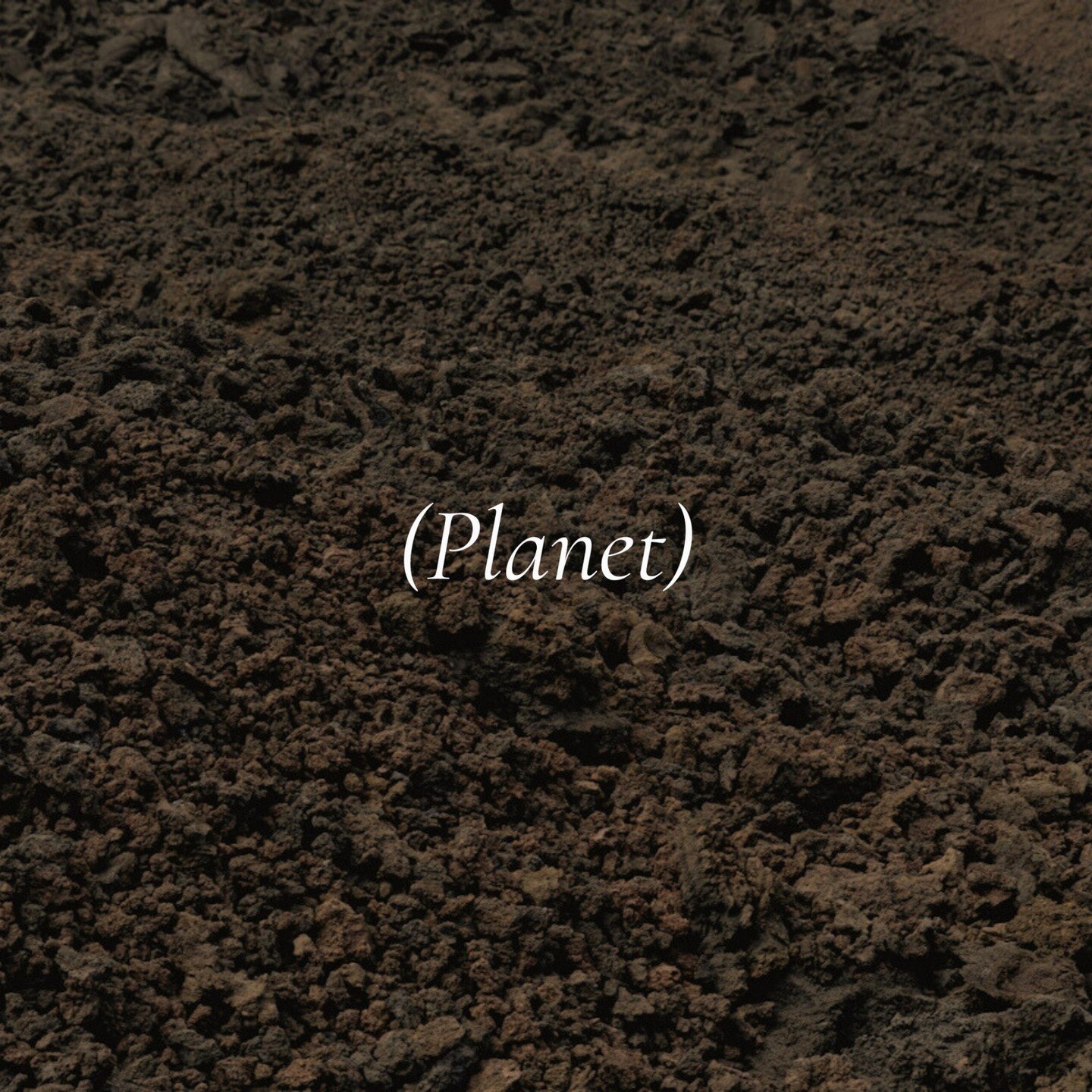 PILLAR || PLANET
We recognize that our planet faces unprecedented challenges, and we are dedicated to supporting its regeneration. We firmly believe that humanity and nature are deeply interconnected, and our well-being is intricately linked to the h