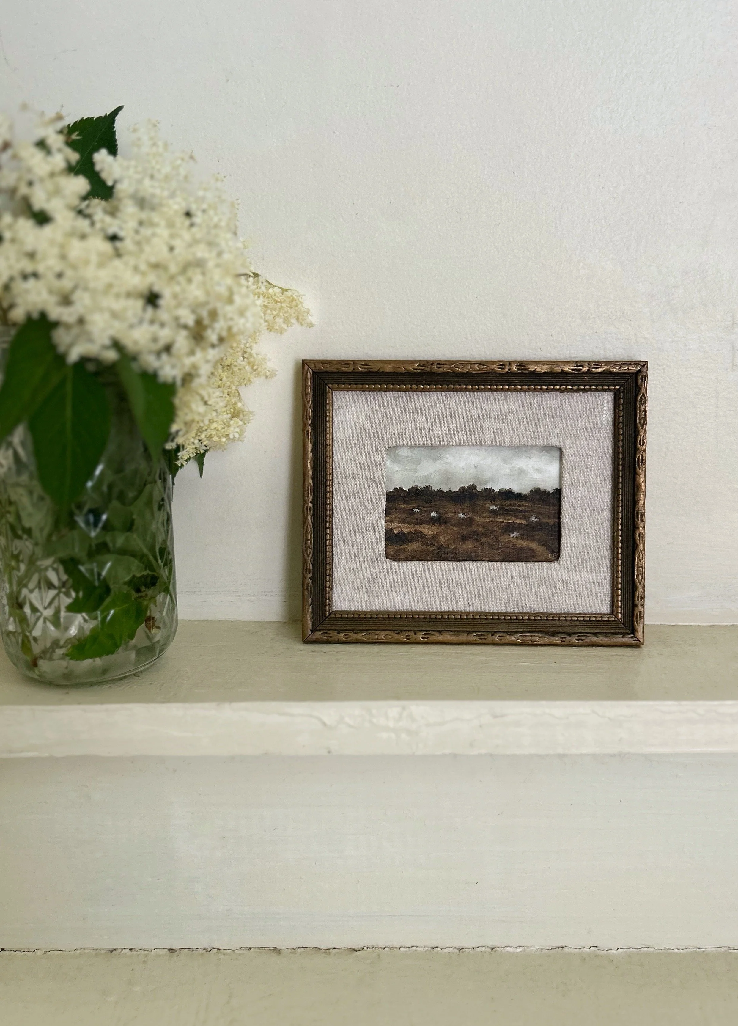 The Countryside- Flock 5