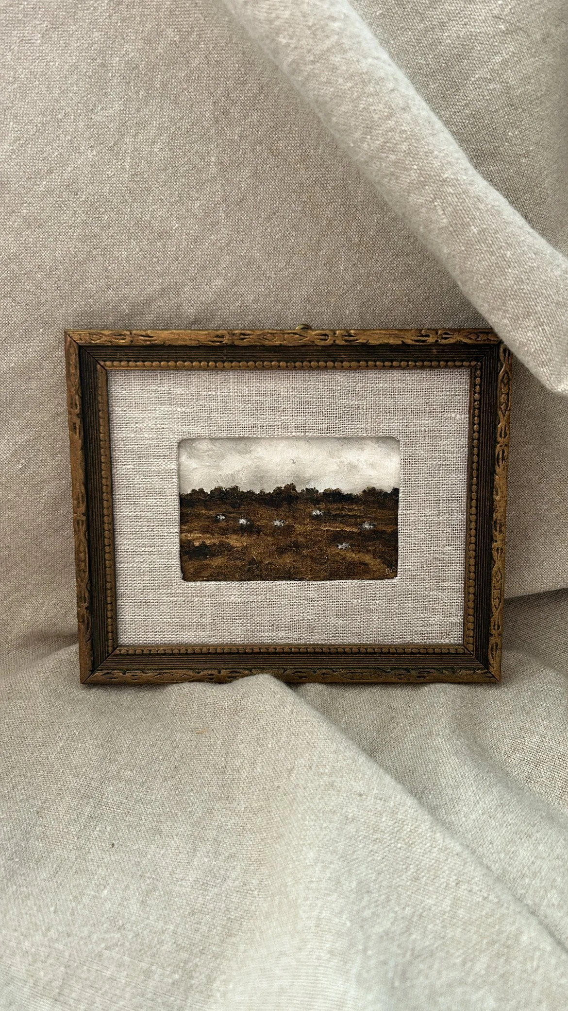 sheep drop flock5 close up2.JPG