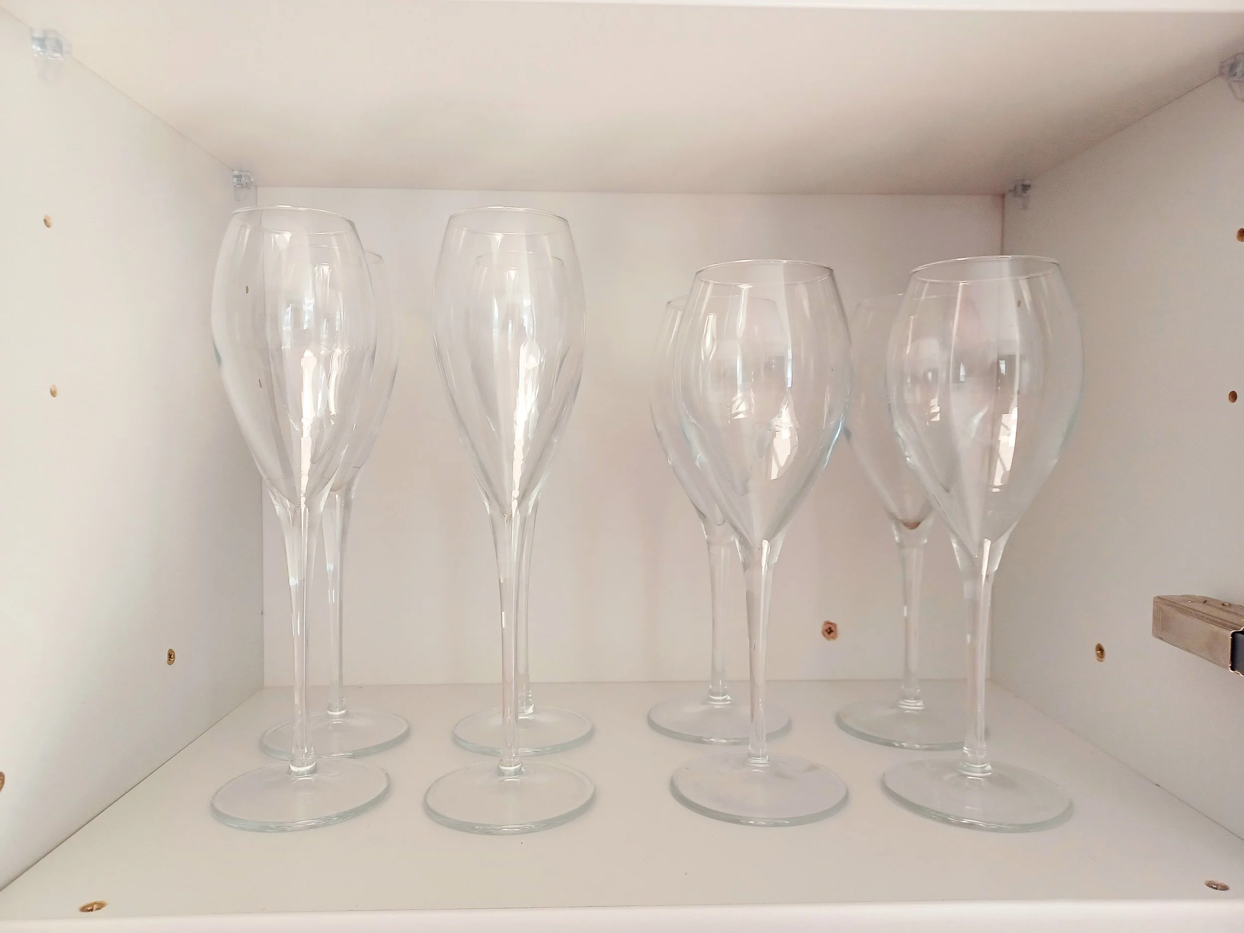 GLASSES FOR EVERY OCCASION.jpeg