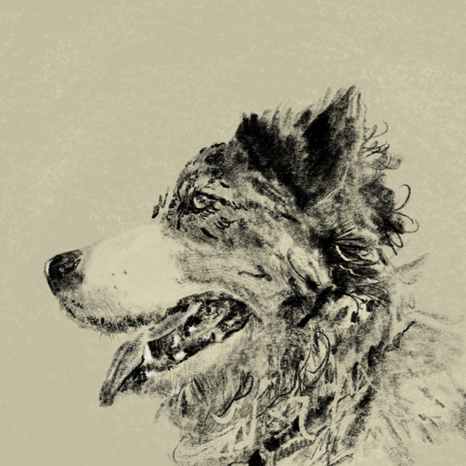 Image+%281%291.png