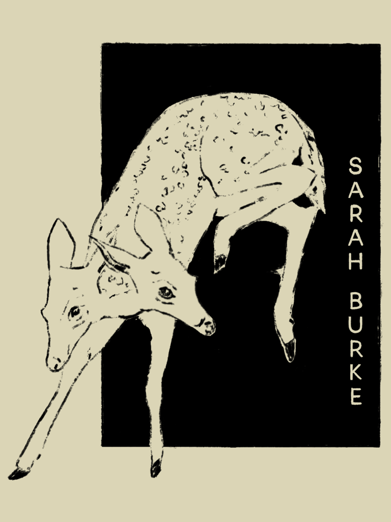 Image (1).png