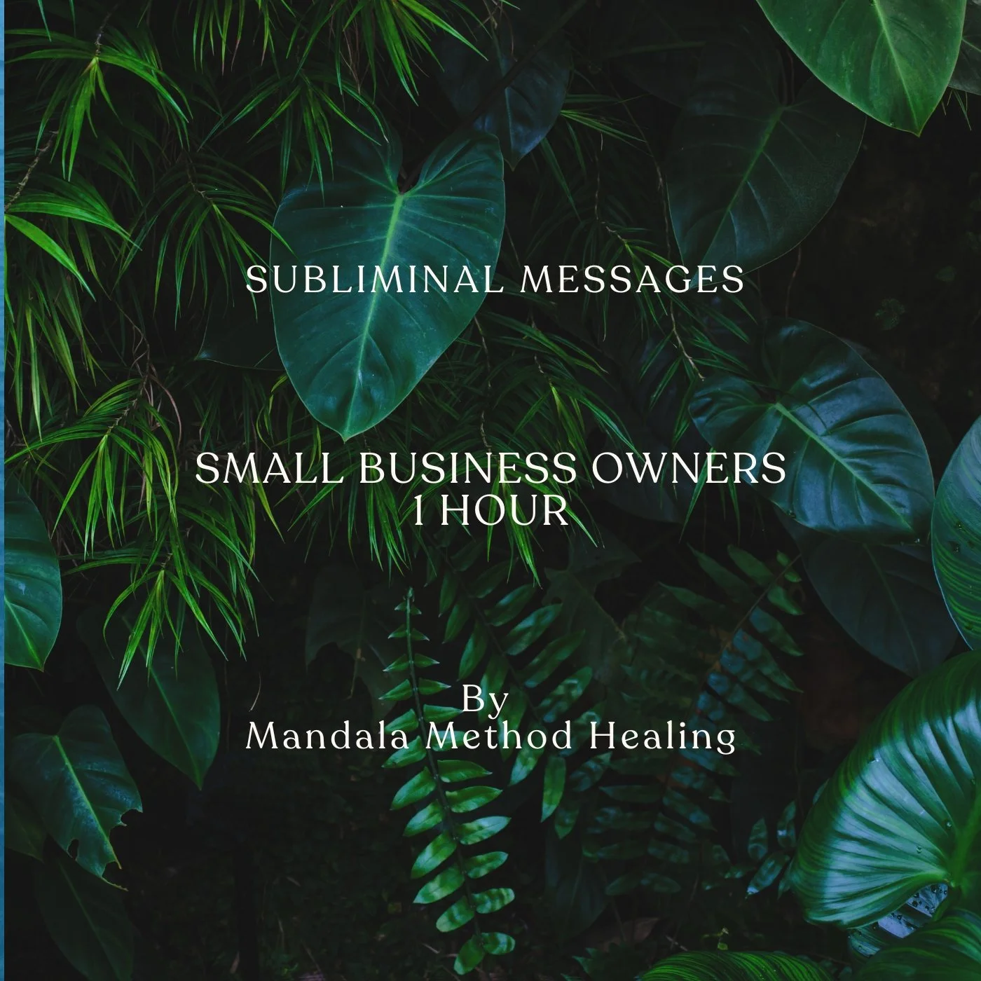 Small biz Rain Sounds Subs Cover.jpg