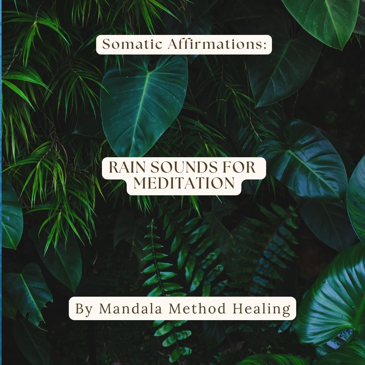 Rain Affirm. Cover.jpg