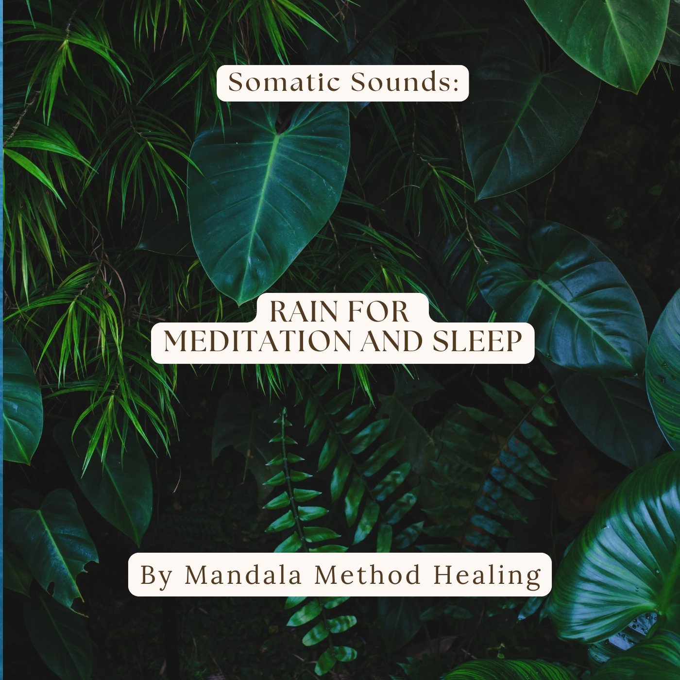 Somatic Sounds: Rain for Meditation and Sleep