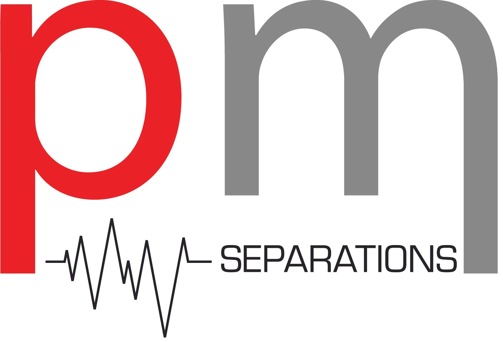PM logo.jpg