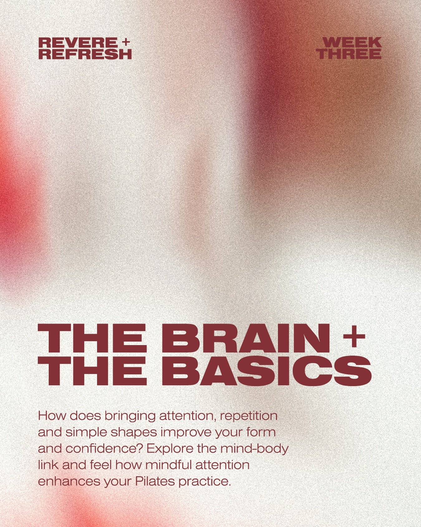 Revere + Refresh Week Three: The Brain + The Basics

Not only an epic band name, The Brain + The Basics is all about your brain on Pilates. This week we are looking at how attention, repetition and simple shapes can quietly sharpen your form, balance