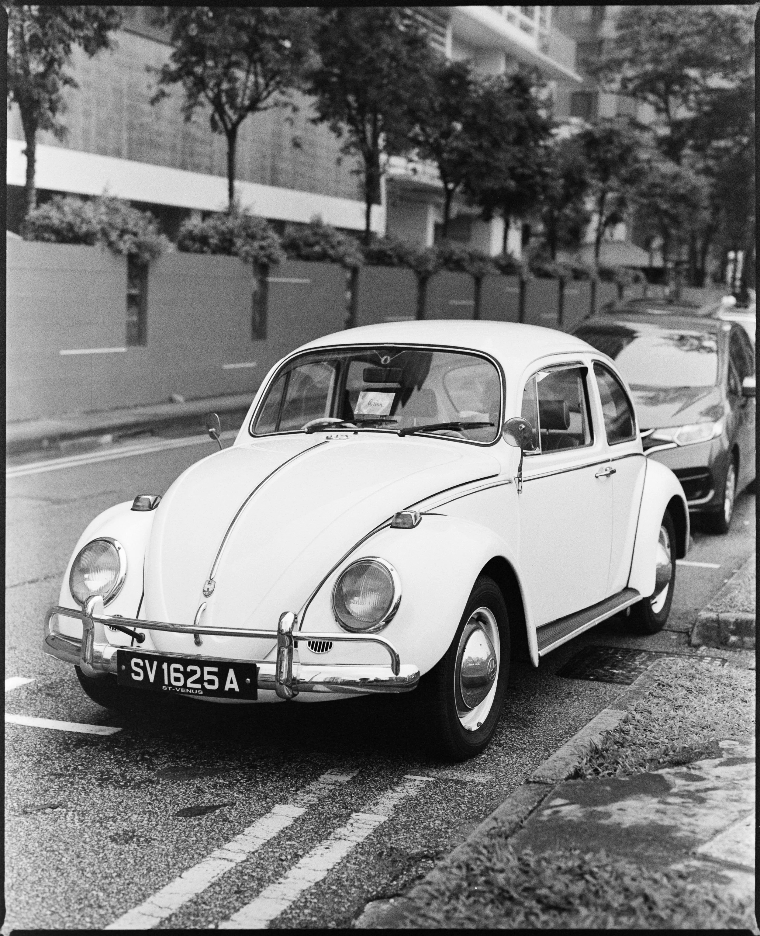 Street_in_Mono_Tri_X_Pan-0009.jpg