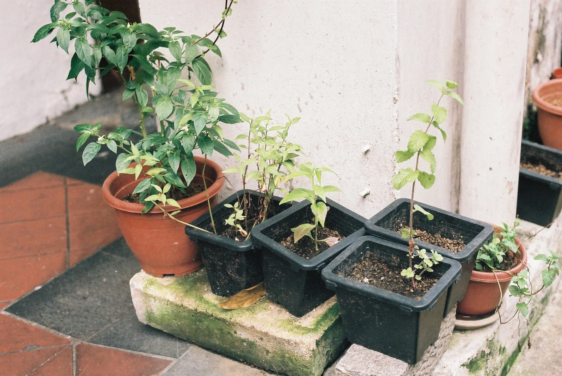 Street_in_Colours_Agfa_Vista-0104.jpg