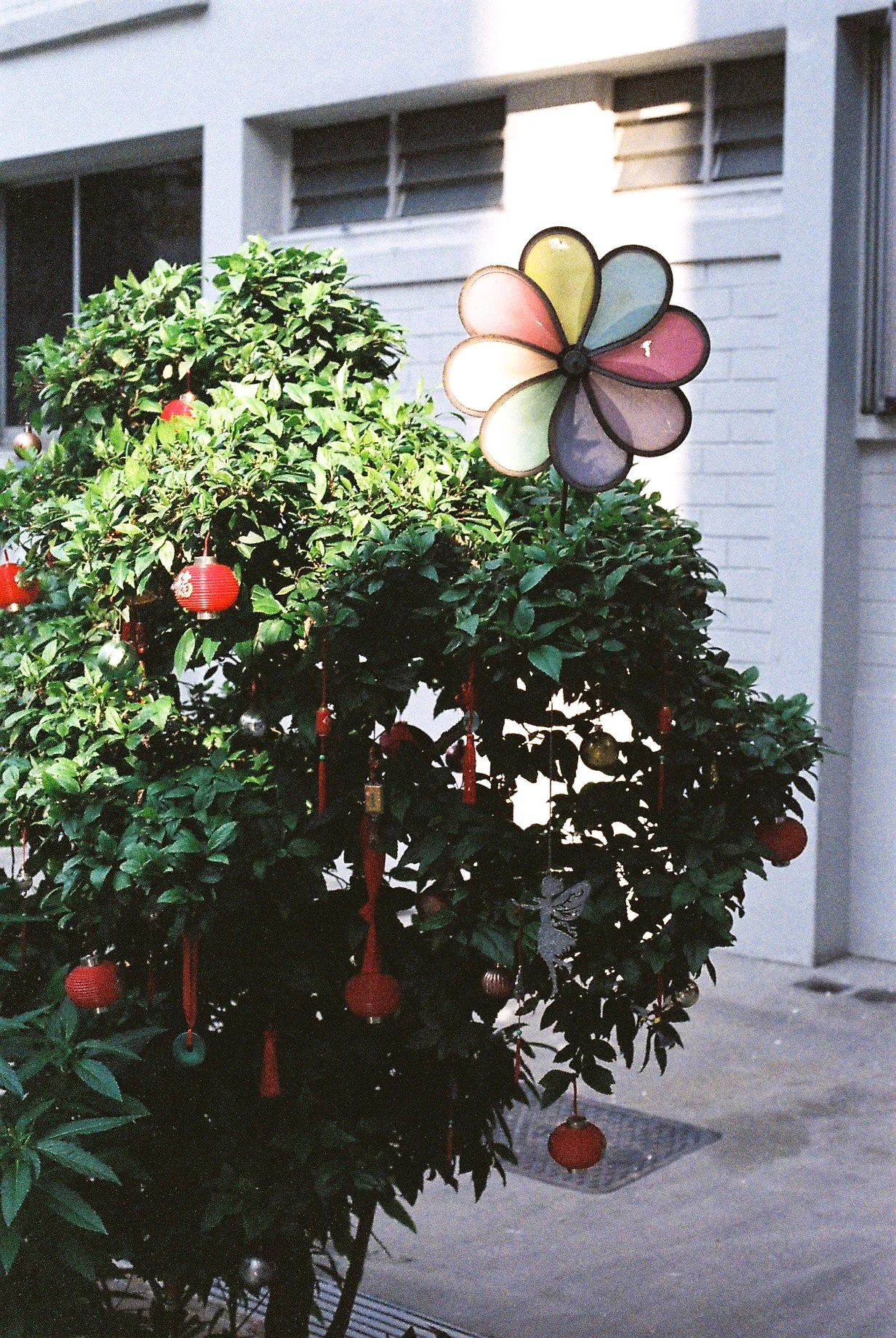 Street_in_Colours_Fuji_Colour_Superia_400-0161.jpg