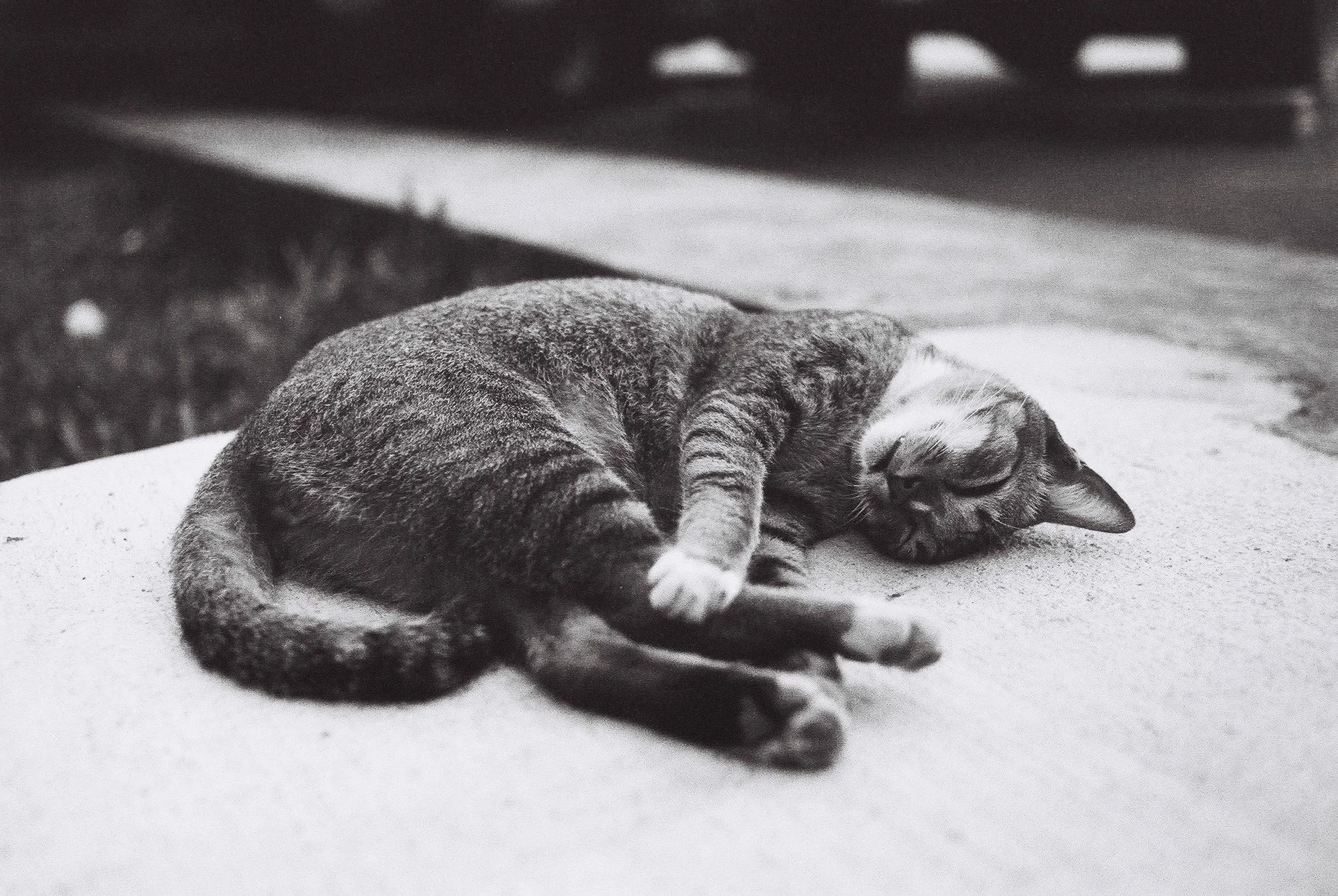 Street_in_Mono_HP5-0026.jpg