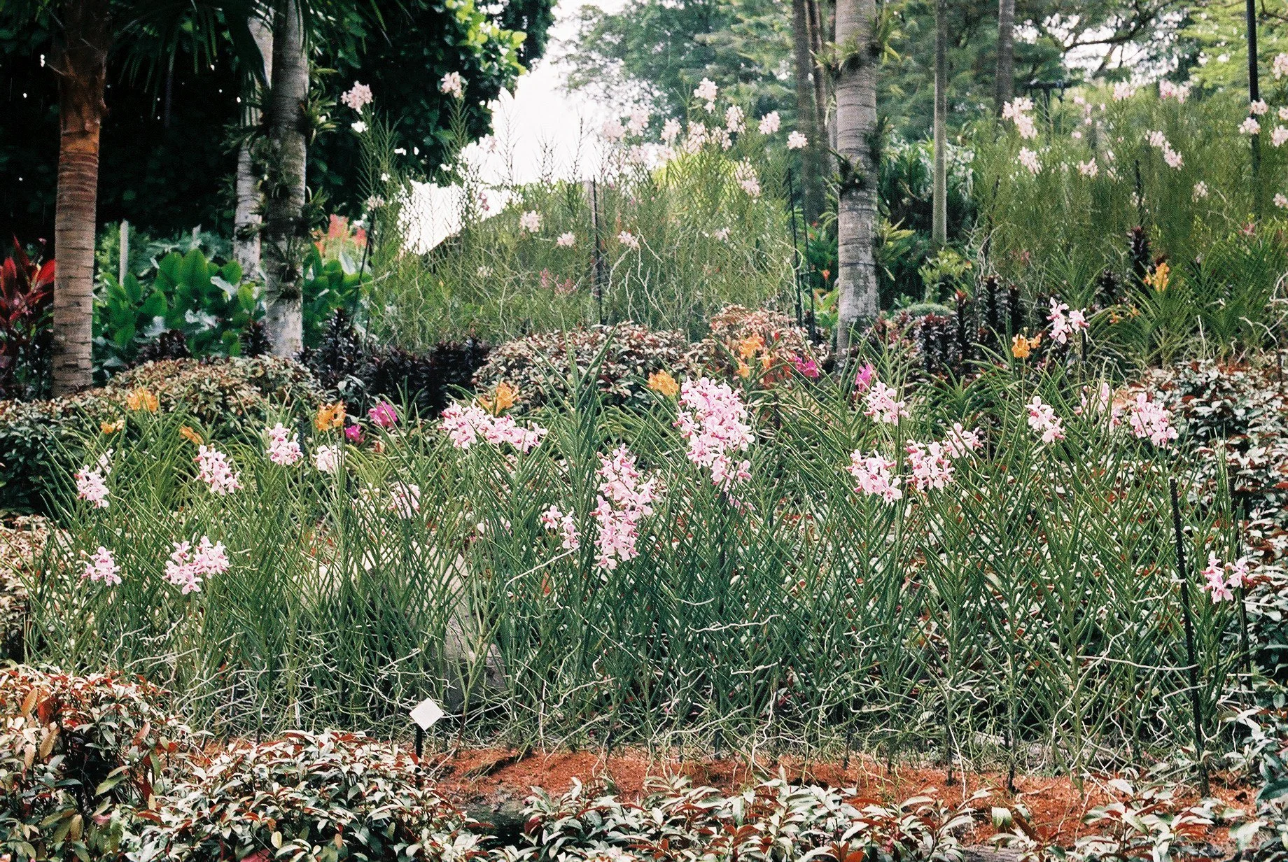 Street_in_Colours_Agfa_Vista-0123.jpg