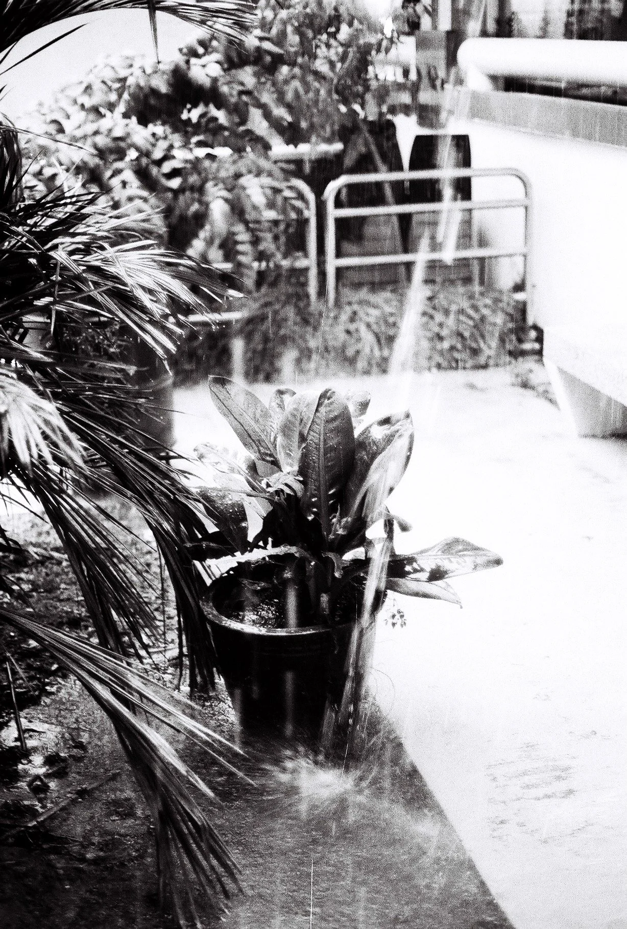 Street_in_Mono_HP5-0071.jpg