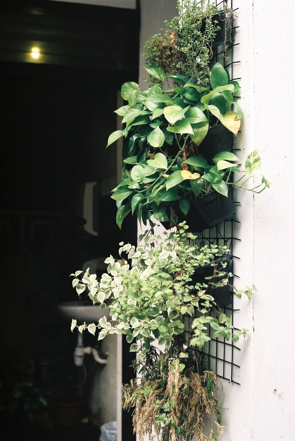 Street_in_Colours_Agfa_Vista-0105.jpg