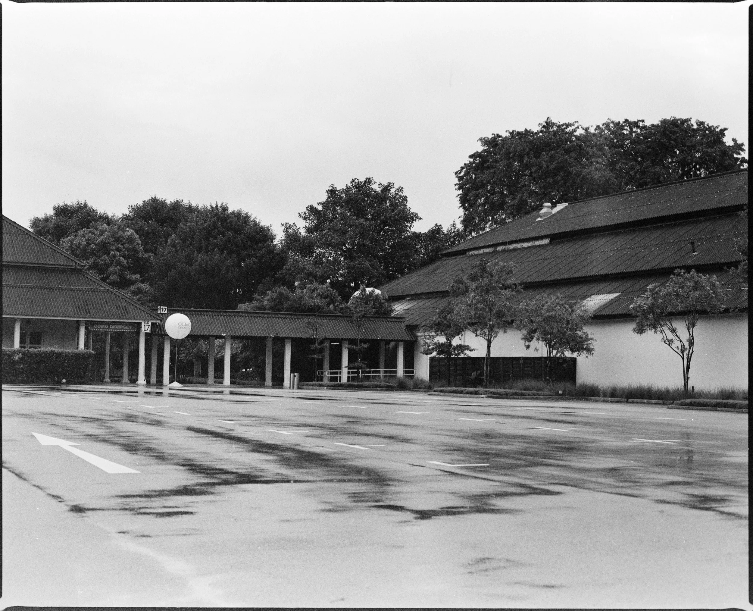 Street_in_Mono_Tri_X_Pan-0004.jpg
