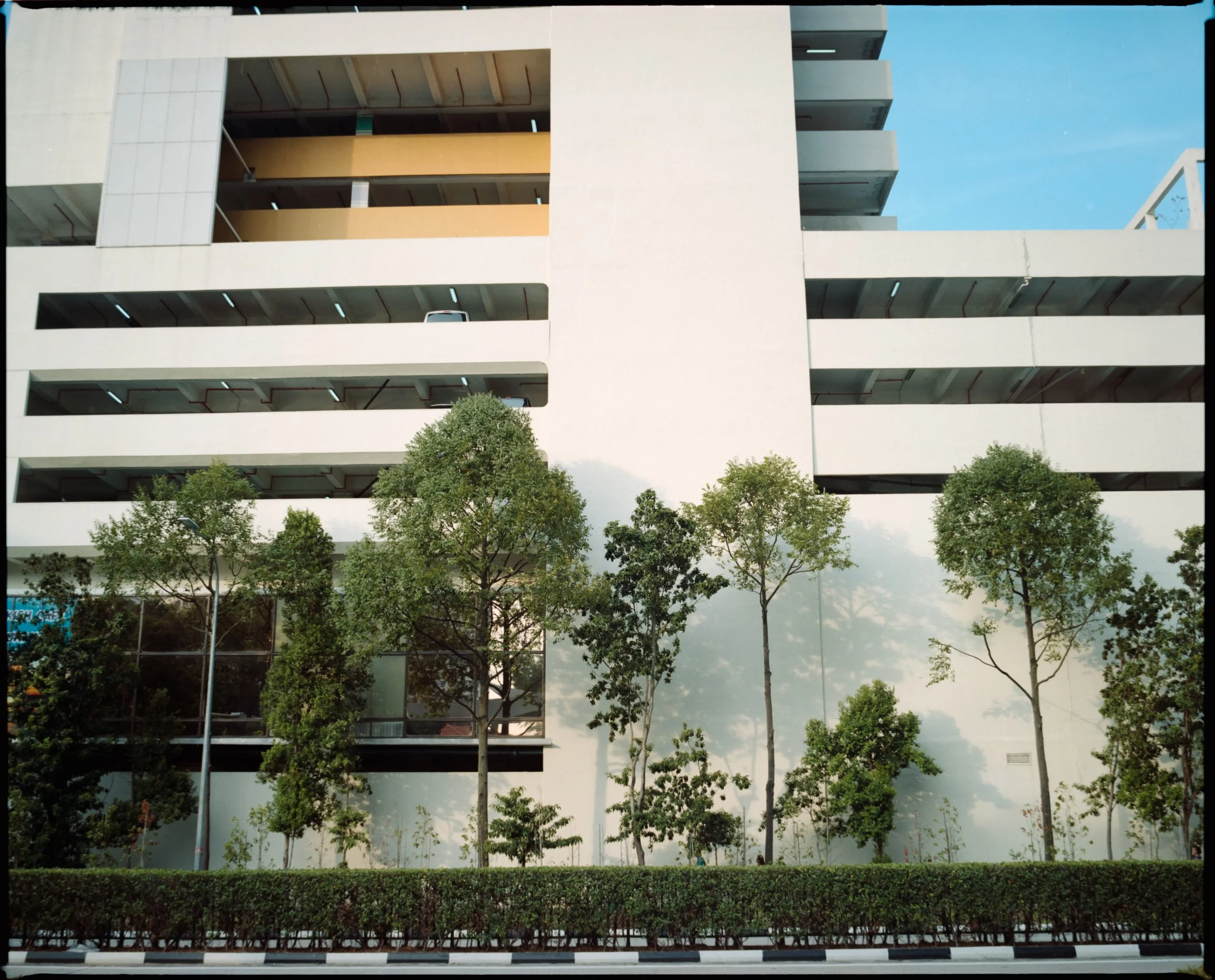 Street_in_Colours_Portra160-0006.jpg
