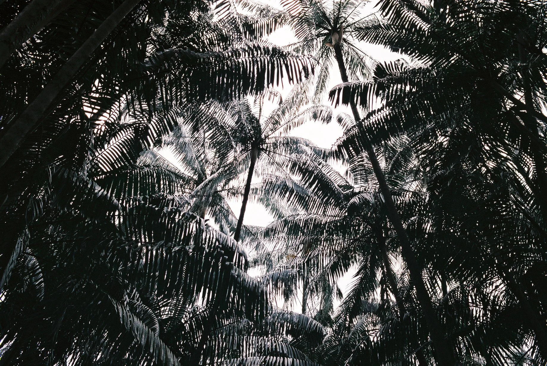 Street_in_Colours_Agfa_Vista-0122.jpg
