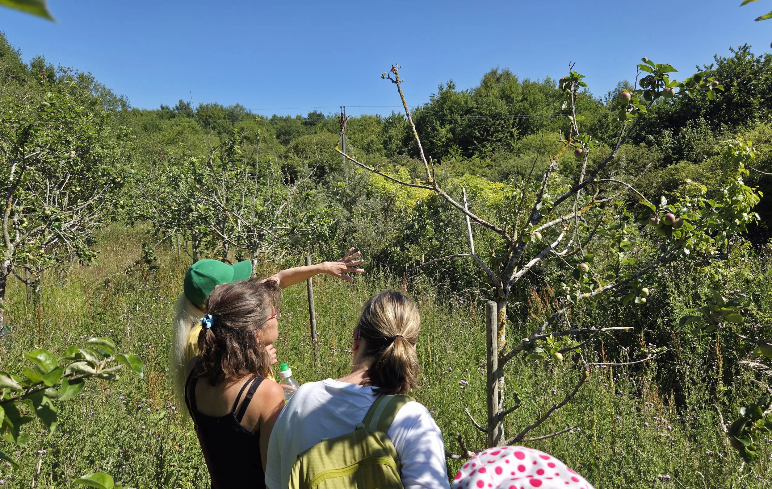 Community rewilding is easier than you might think