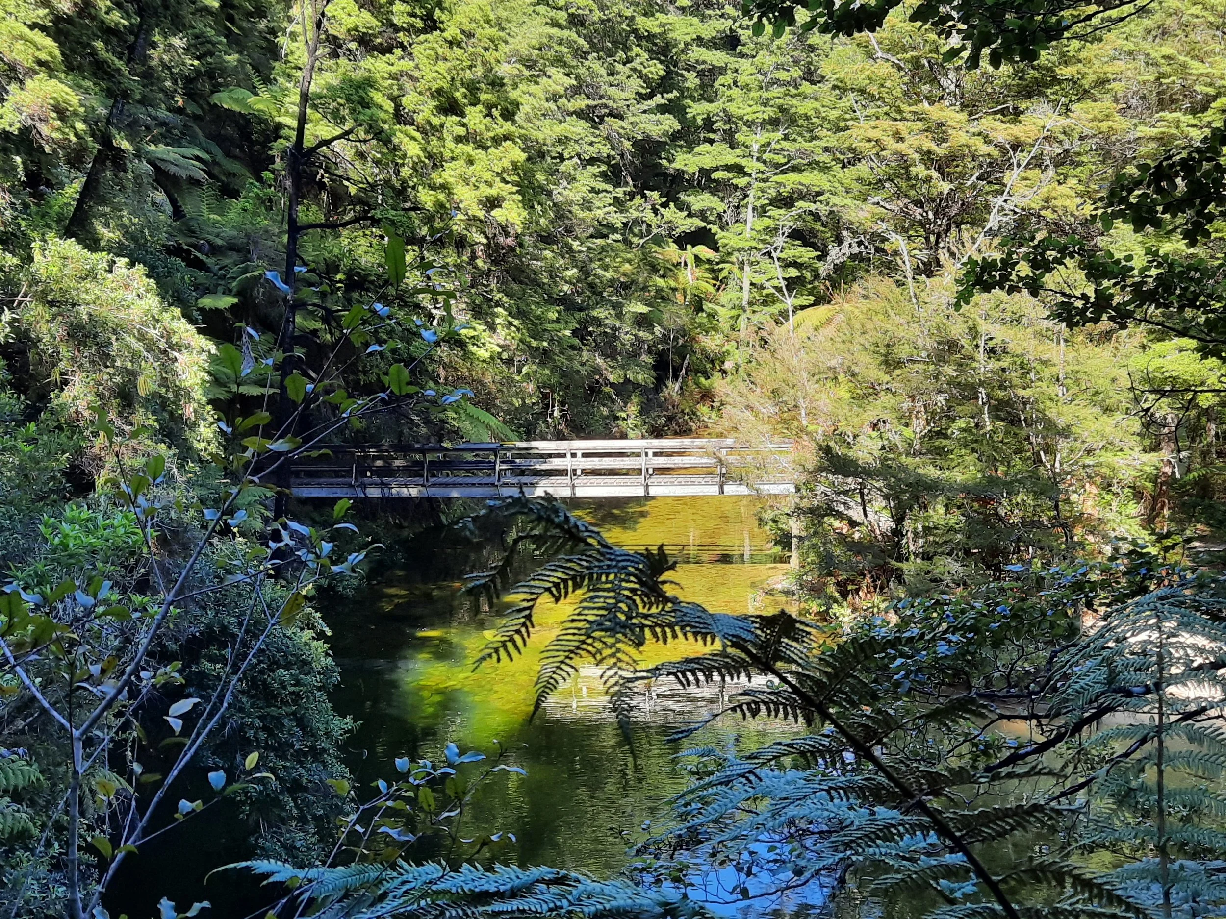 Abel Tasman National Park