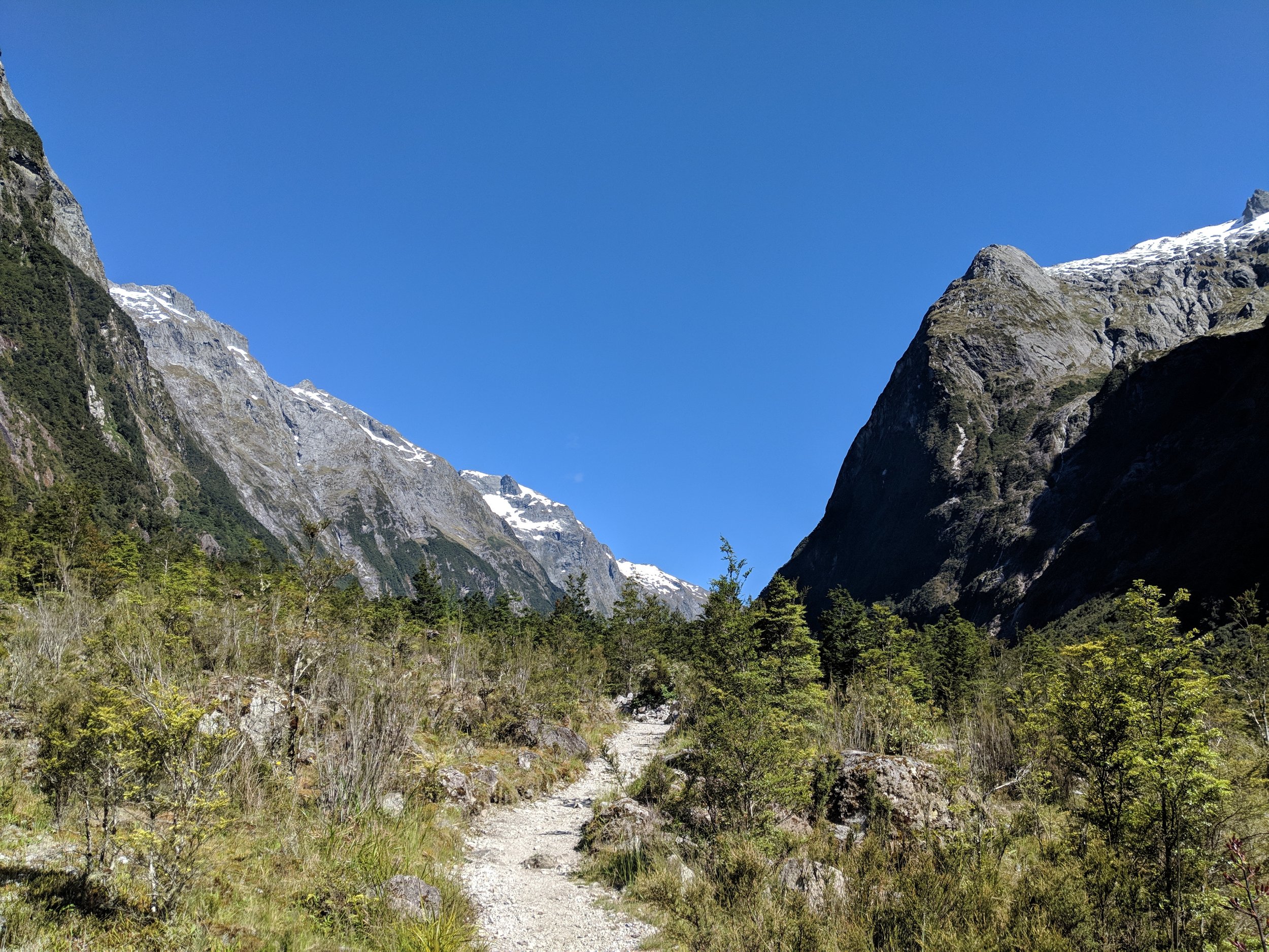 Milford Track
