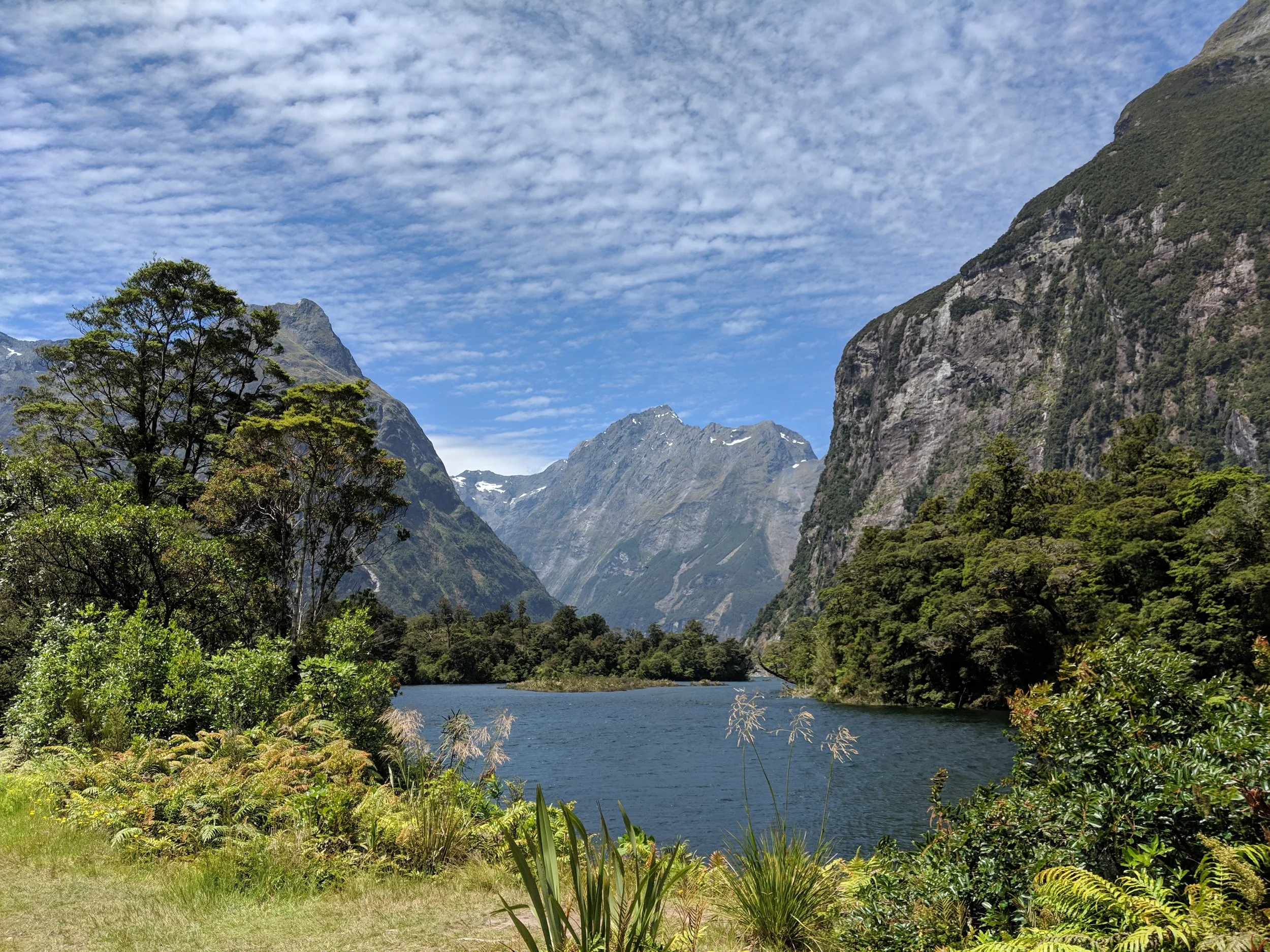Sandfly Point, Fiordland National Park