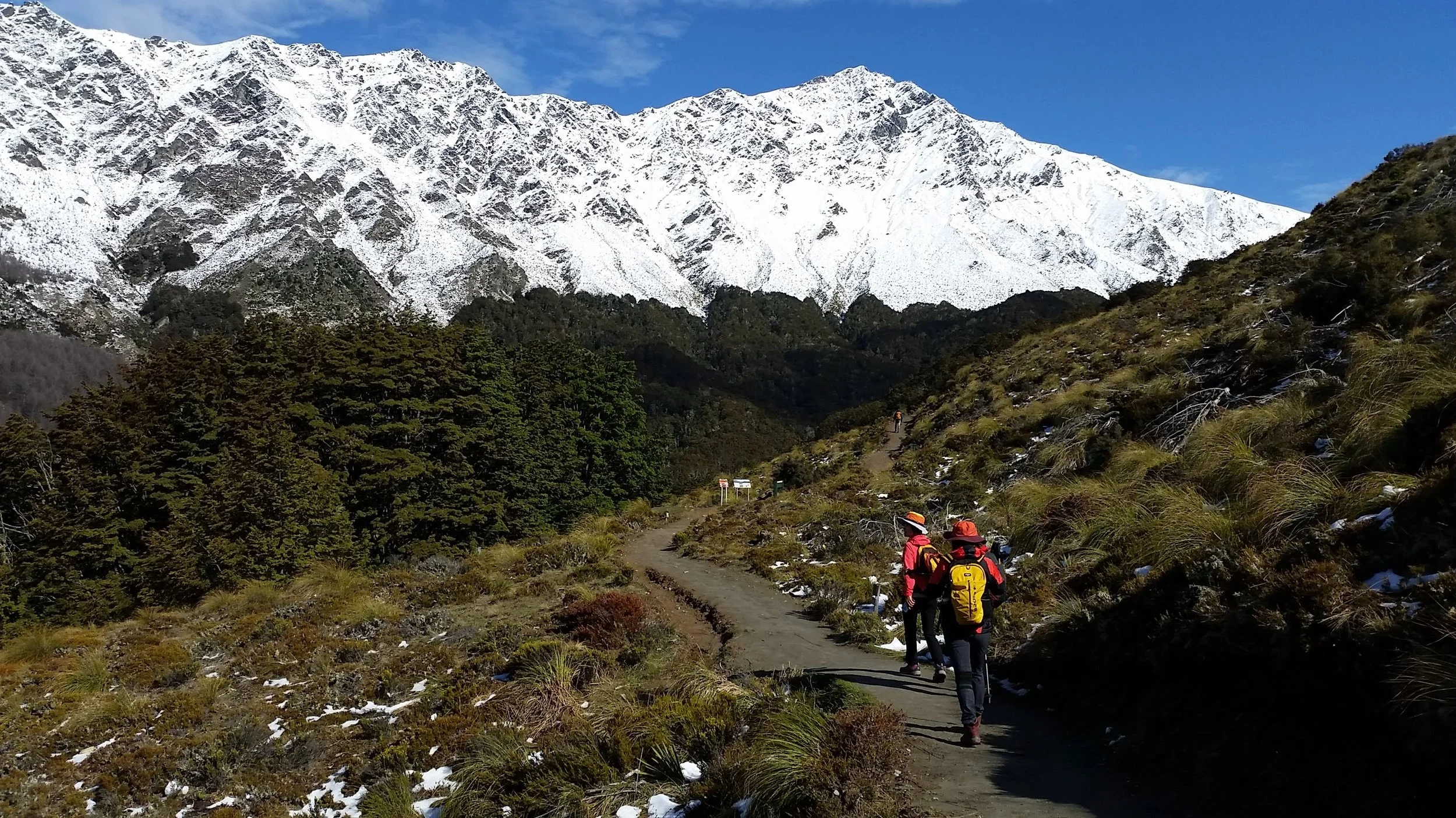 Ben Lomond Track, Queenstown (Whakatipu-wai-Māori)