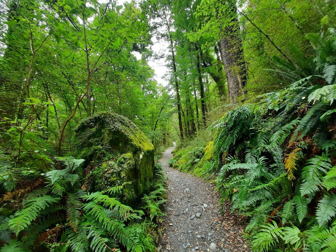 Routeburn Track, Fiordland National Park