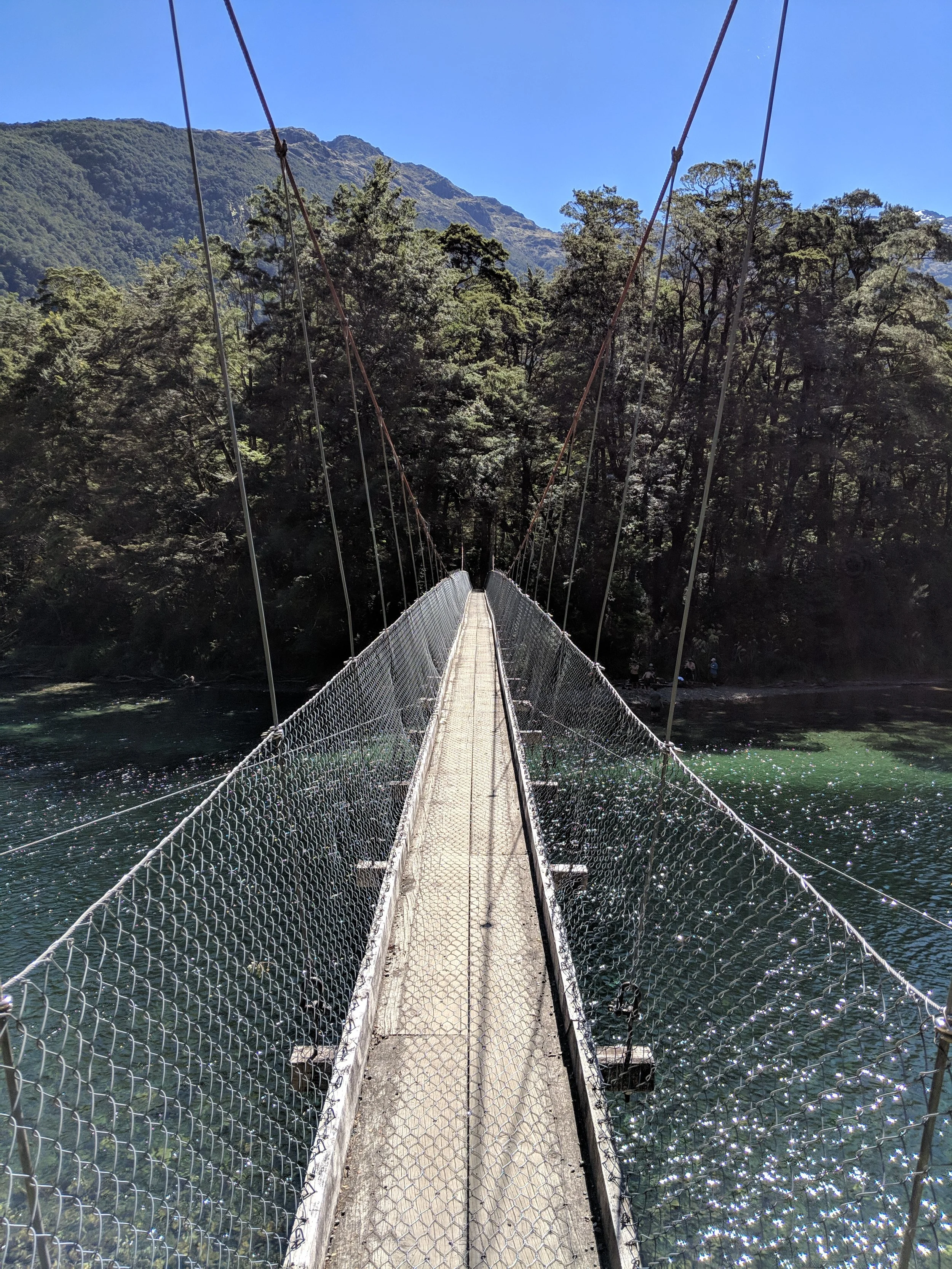 Bridge to commence the Milford Track
