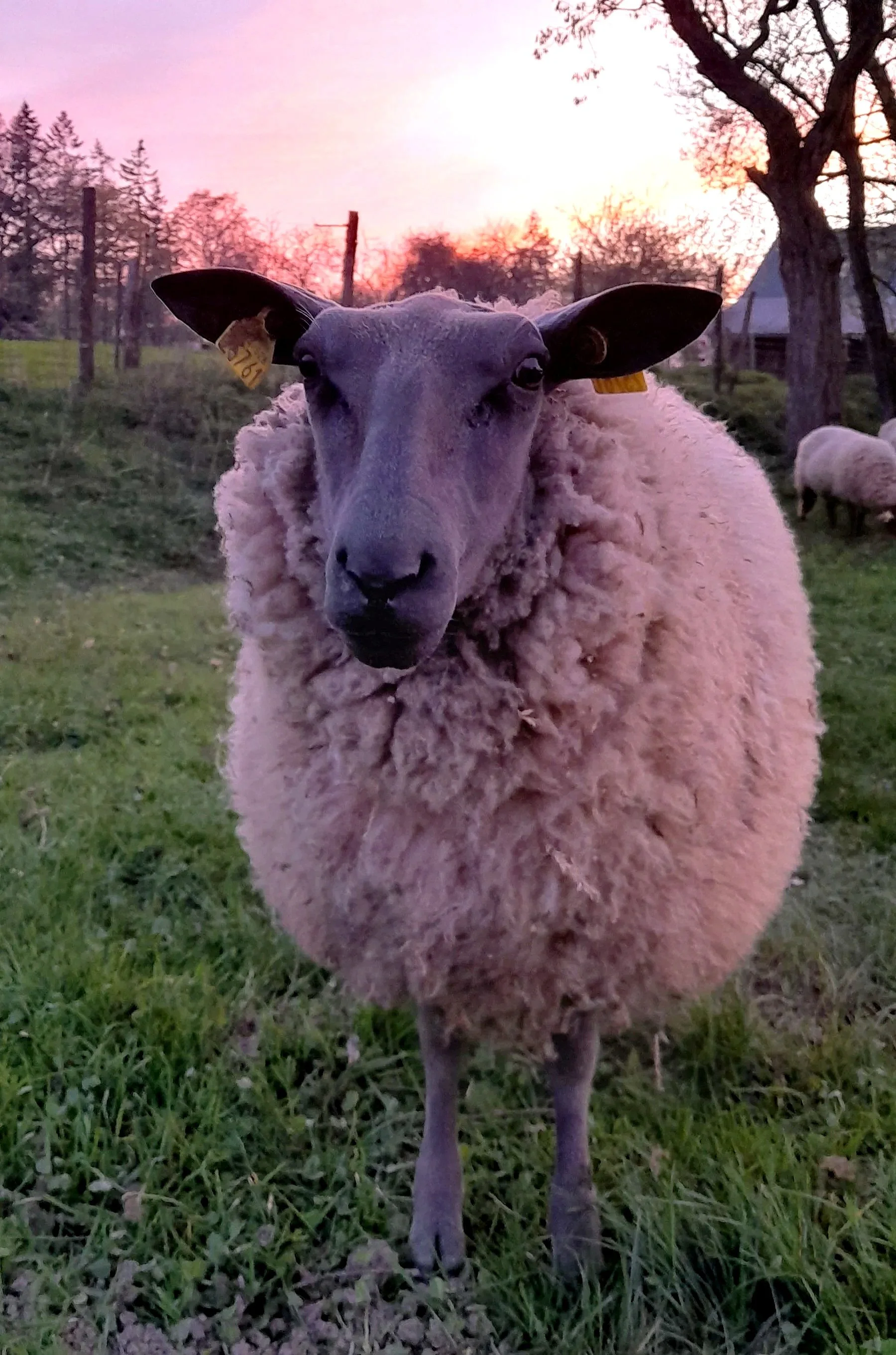 Atelier d’art à Bazougers