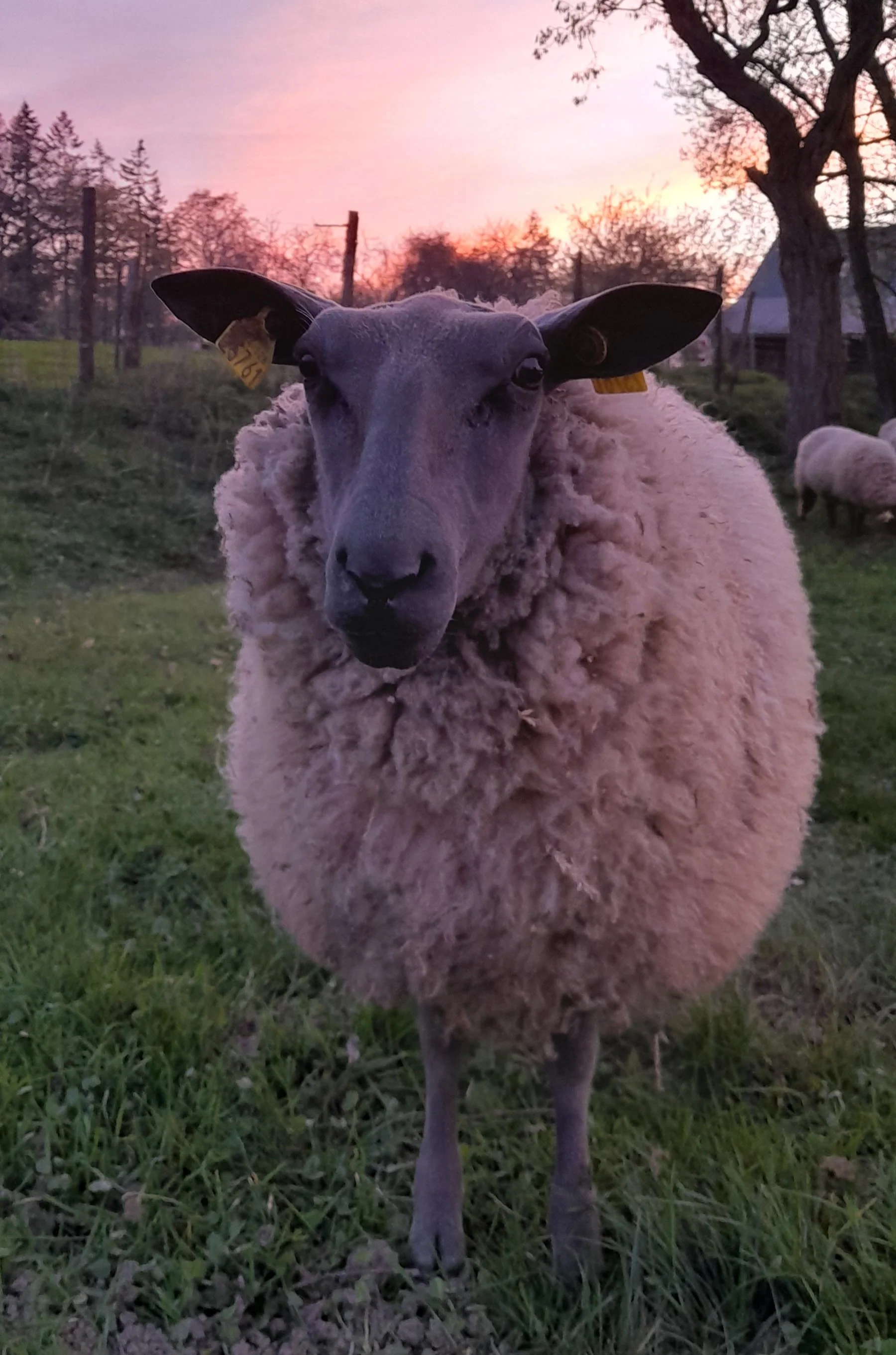 Atelier d’art à Bazougers