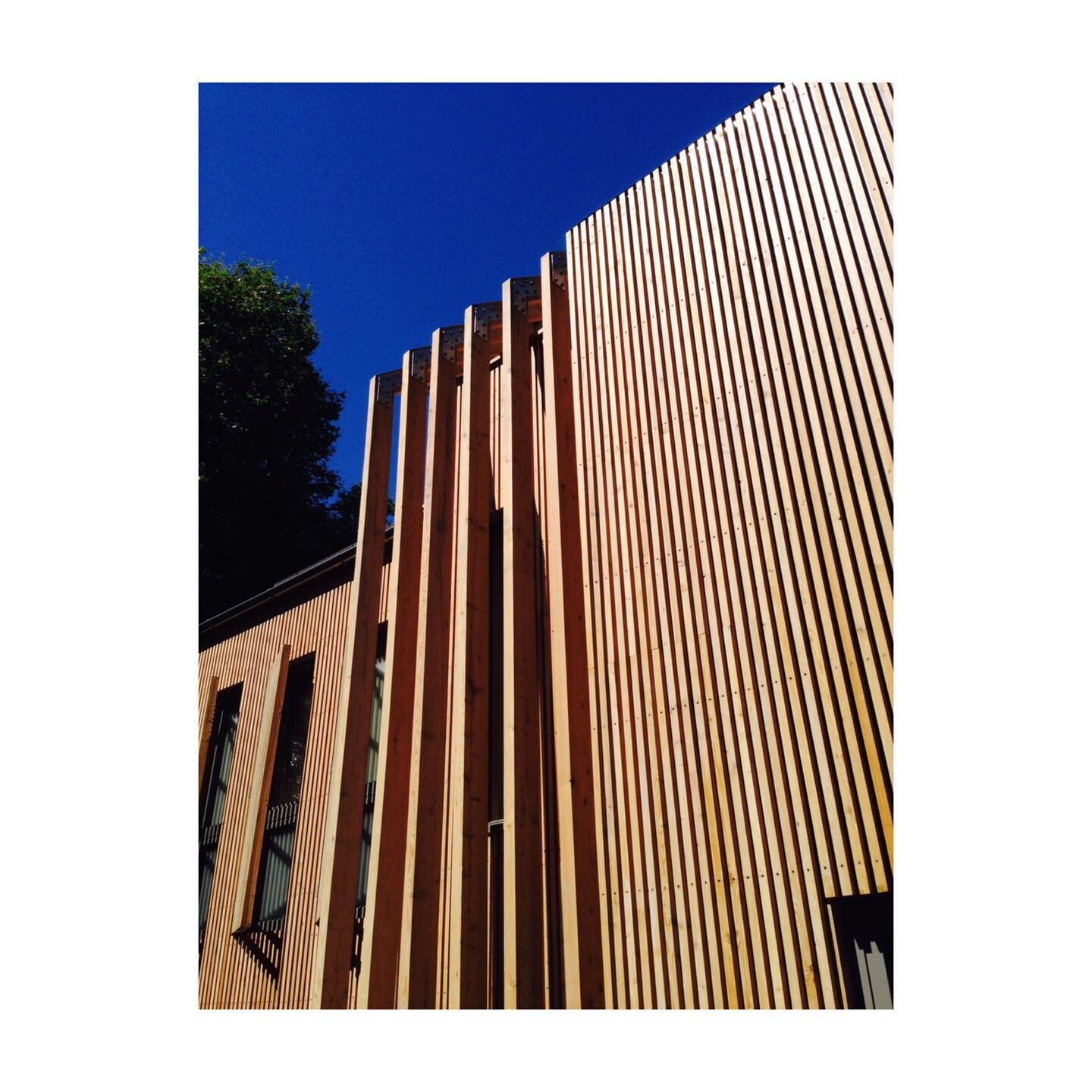 Very lovely larch cladding on this back-plot new build family house we completed in Hackney 
📸@michbt
#hackney #design #newbuildhome #london #larchcladding