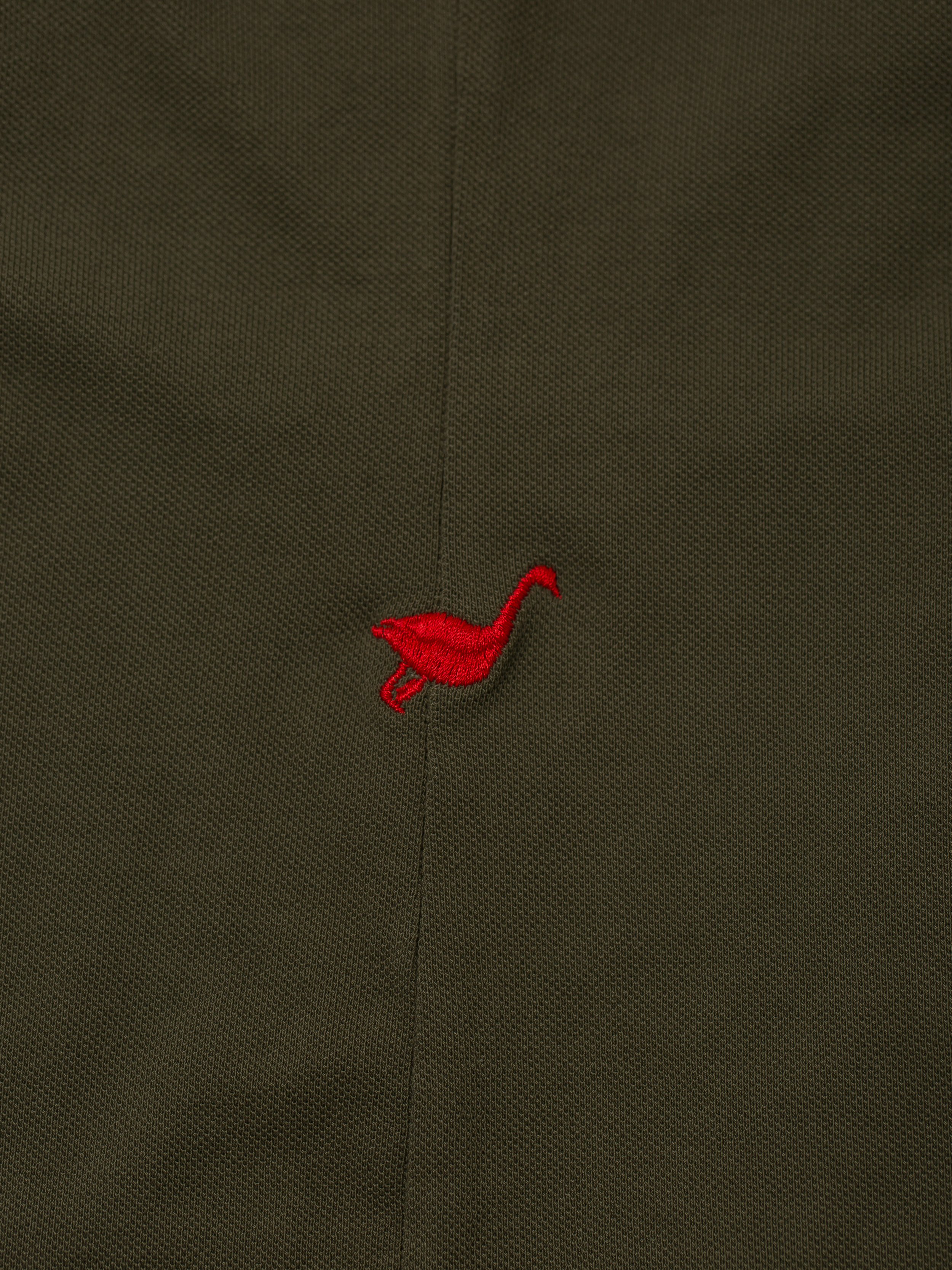 RedGander_20231211_223.jpg