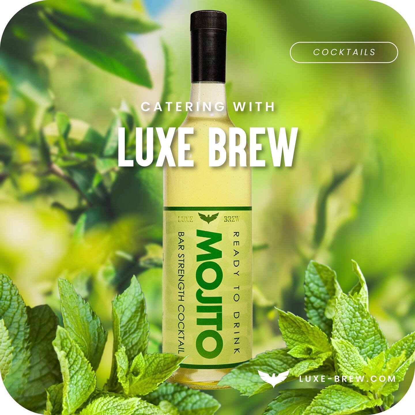 May you week feature at least on mojito🤩 Our premium cocktail ready-to-drink mojitos, feature our &ldquo;1667&rdquo; white rum, fresh mint flavour, refreshing lime juice, all skilfully balanced by the addition of Australian sugar. Why wouldn&rsquo;t