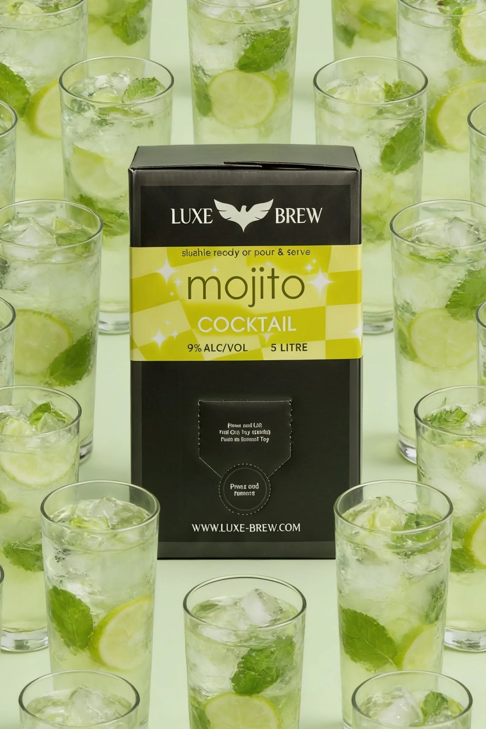 FLEXIFLASK MOJITO 5L GLASSES.jpg