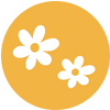 PALS Daisy 1.png