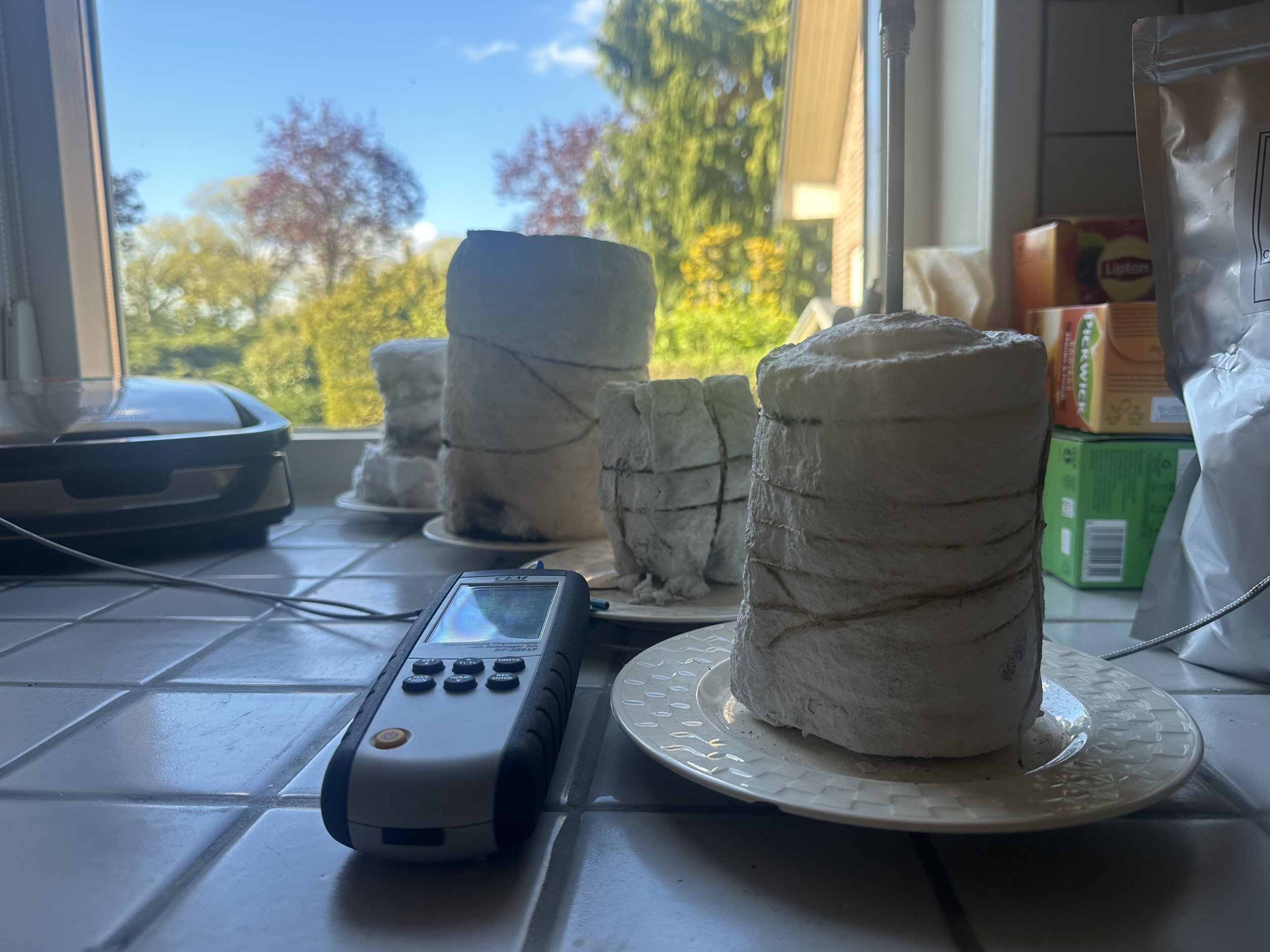 IMG_3559.jpeg