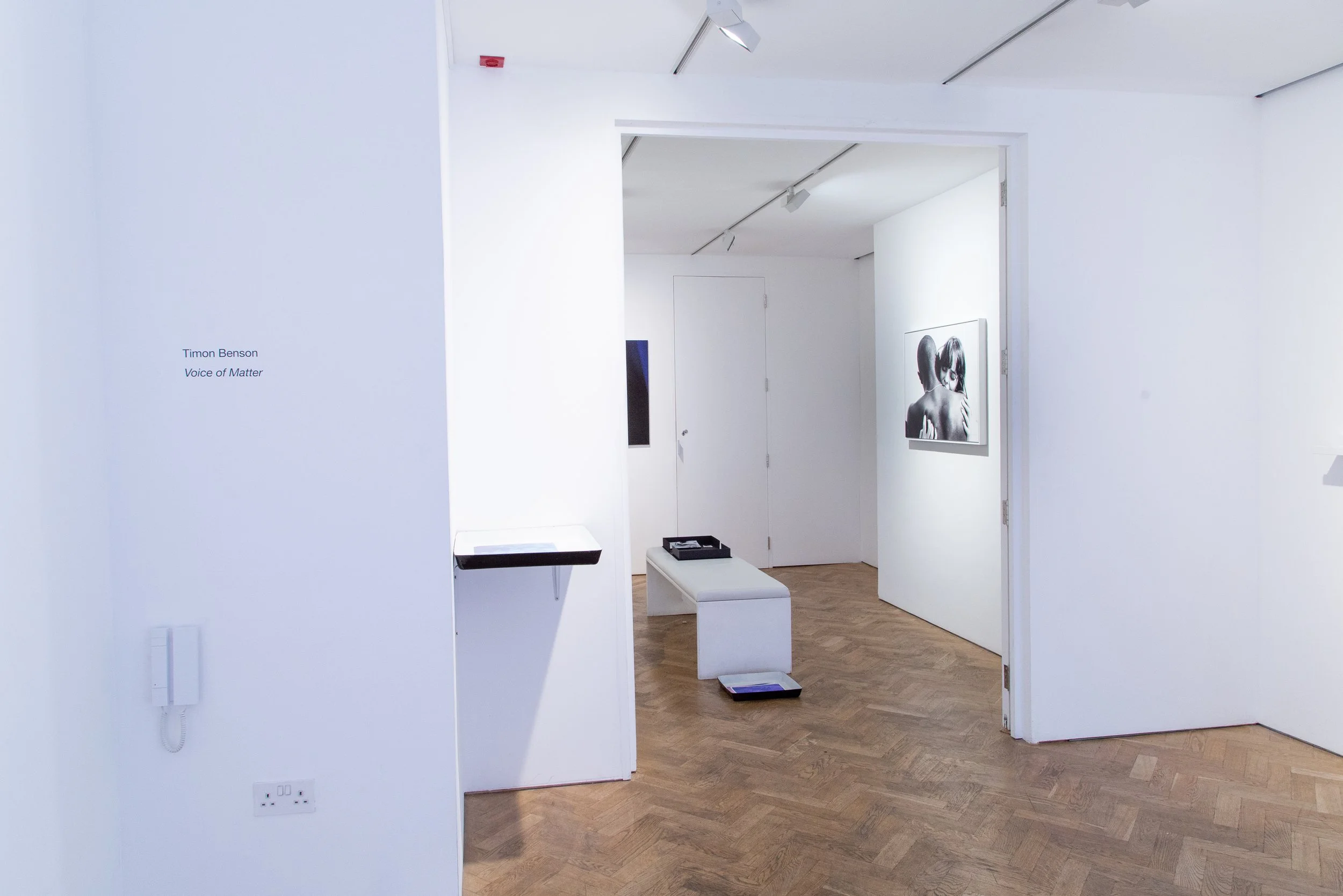 Voice of Matter Webber Gallery7.jpg