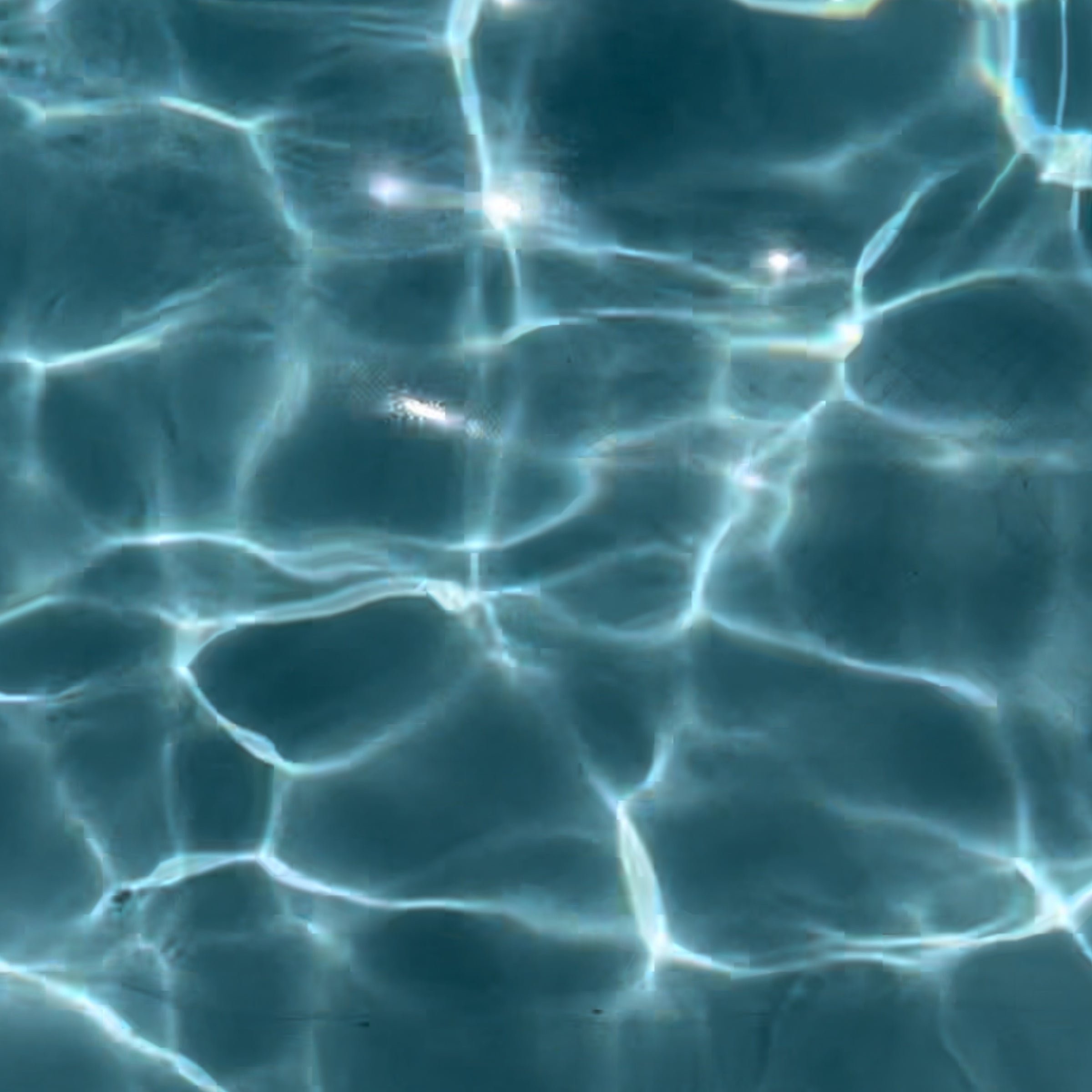 pool-side-video-collection2.jpeg
