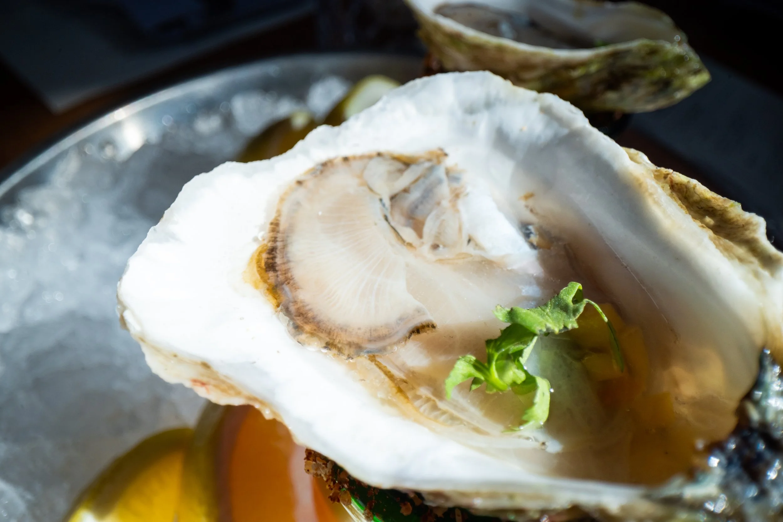 Neighborhood favorite in Wedgewood-Houston featuring rooftop vibes, wood-fired tacos & steaks, strong margs, and a fabulous oyster bar.