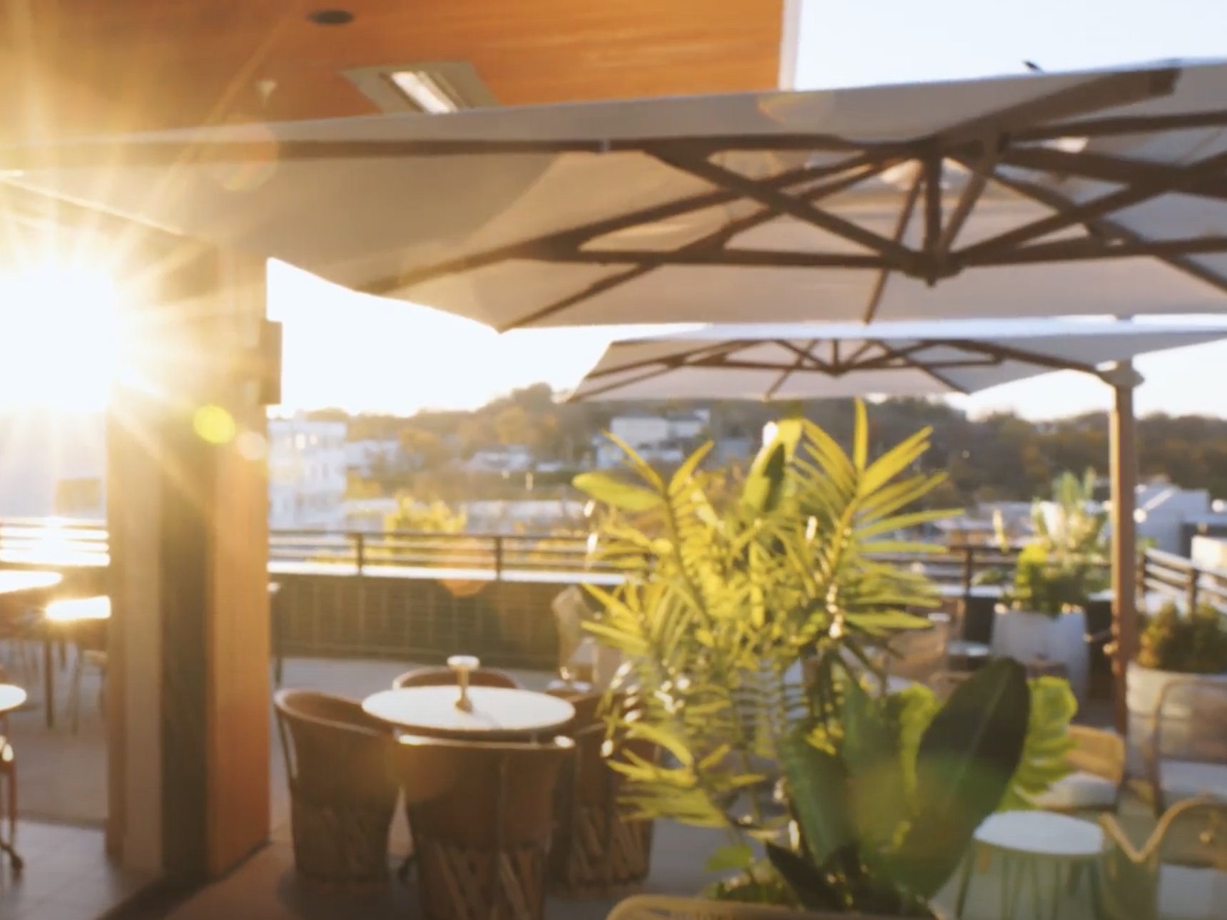 Neighborhood favorite in Wedgewood-Houston featuring rooftop vibes, wood-fired tacos & steaks, strong margs, and a fabulous oyster bar.