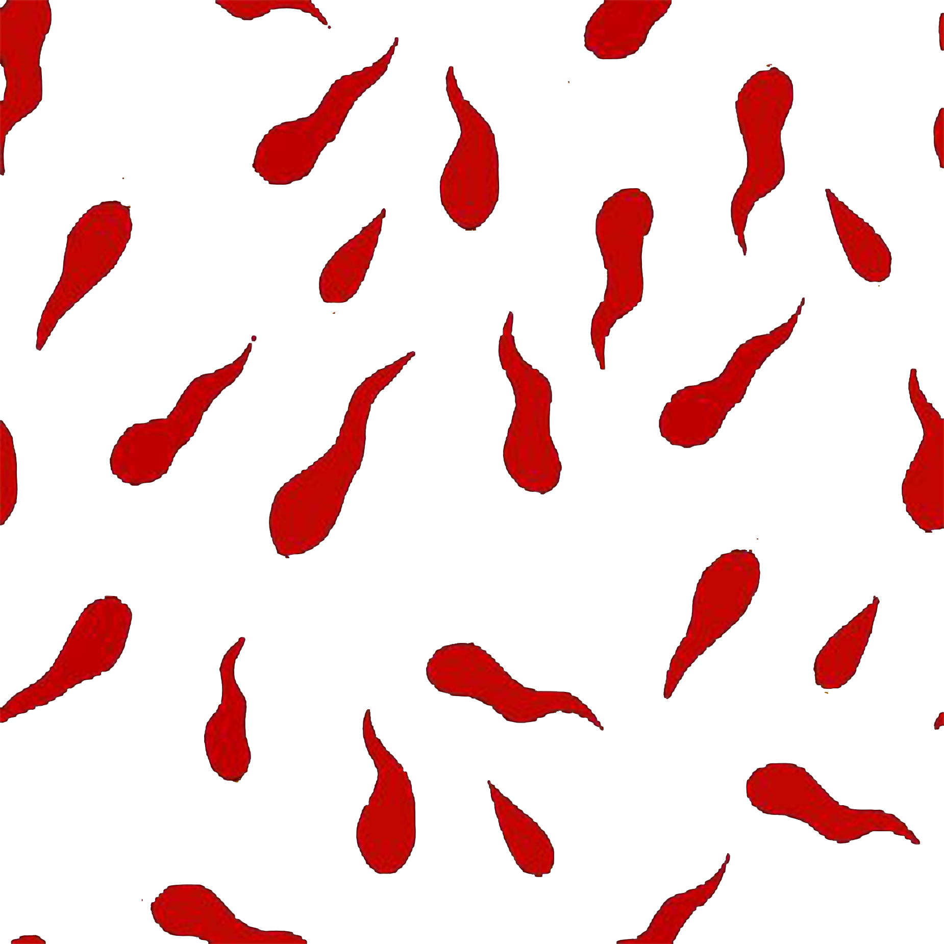 wallpaint corni.png