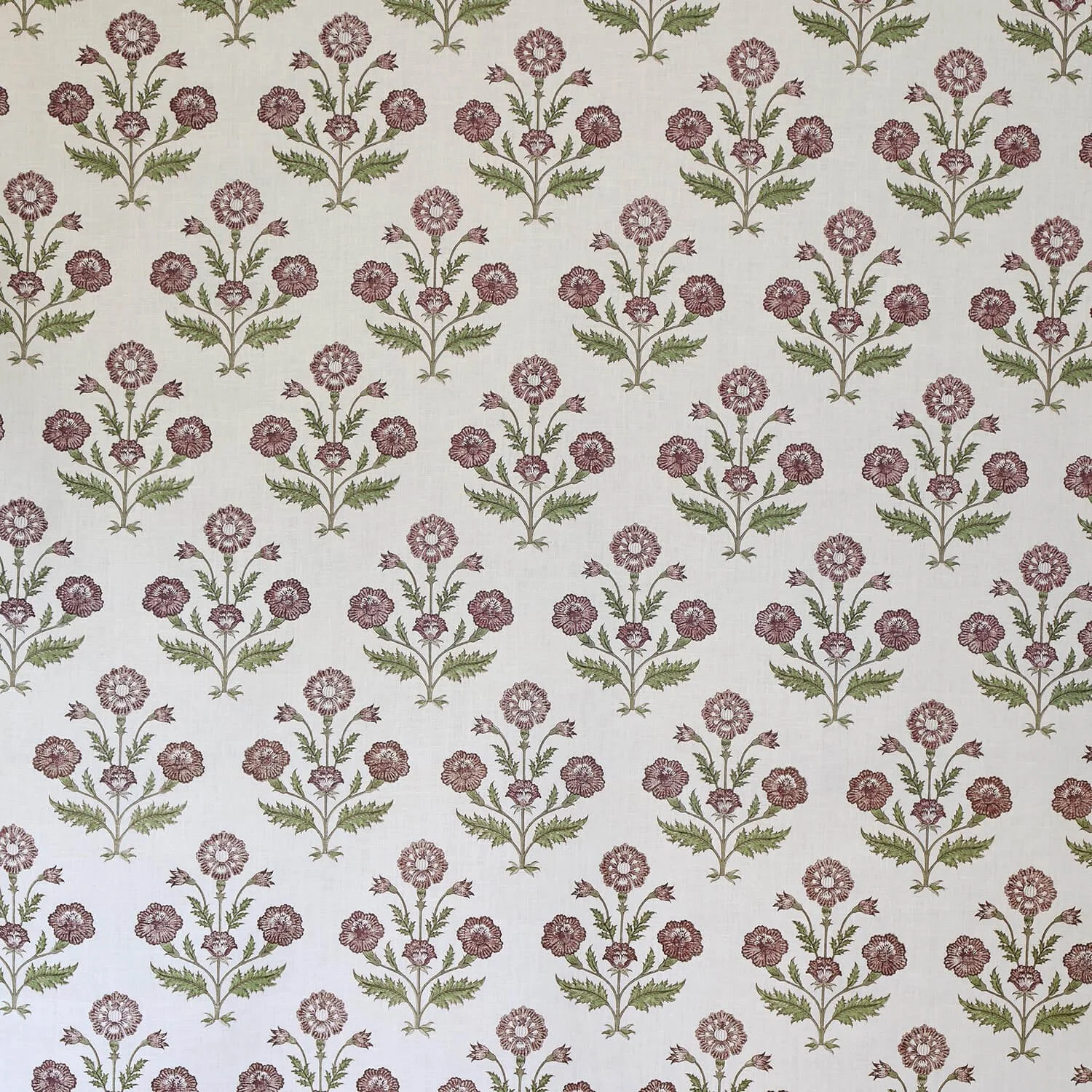 Indian Poppy: Grape / Garden