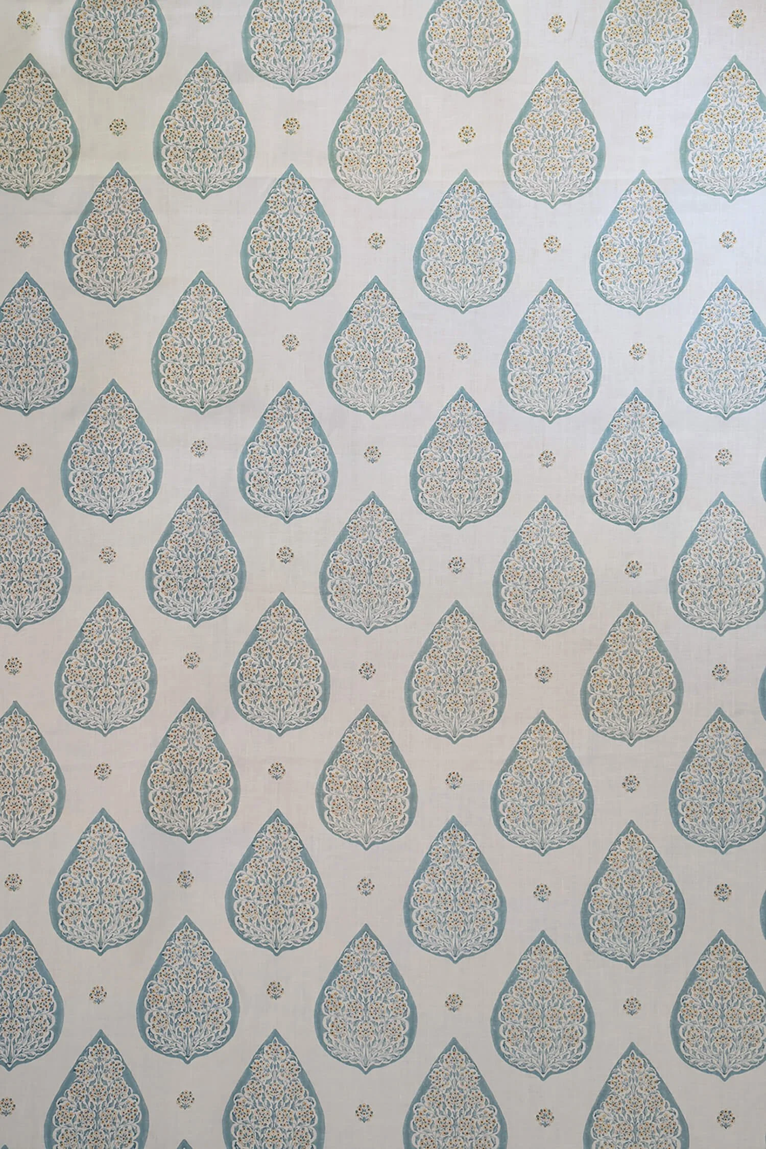 Palm: Brighton / Sunlight