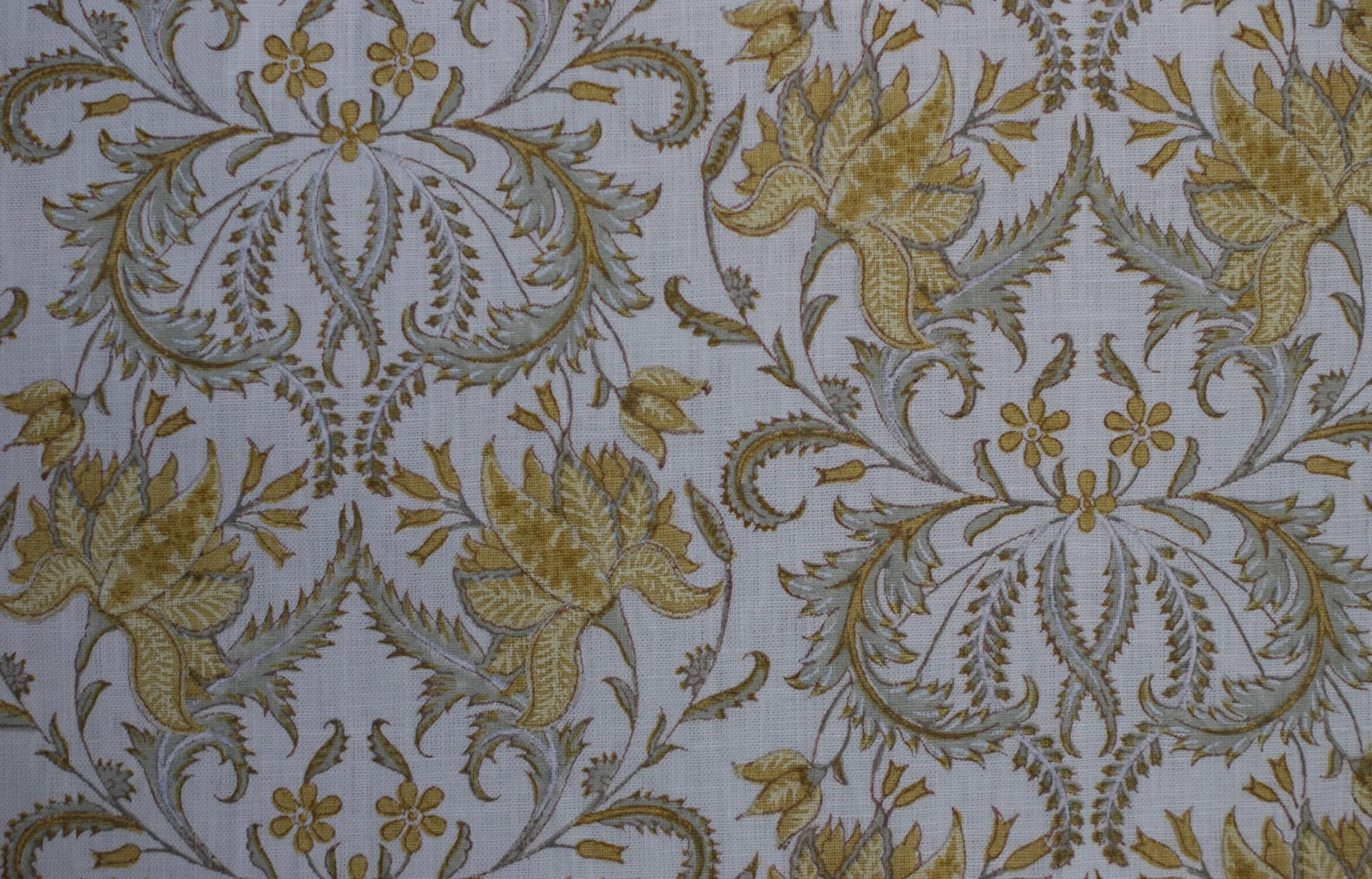 Acanthus: Mustard / Tracery
