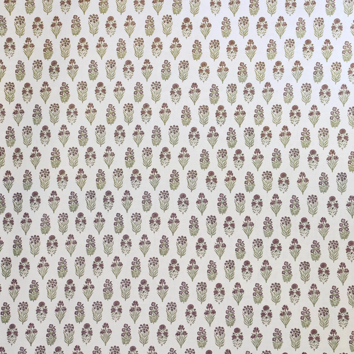 Dani: Grape / Garden