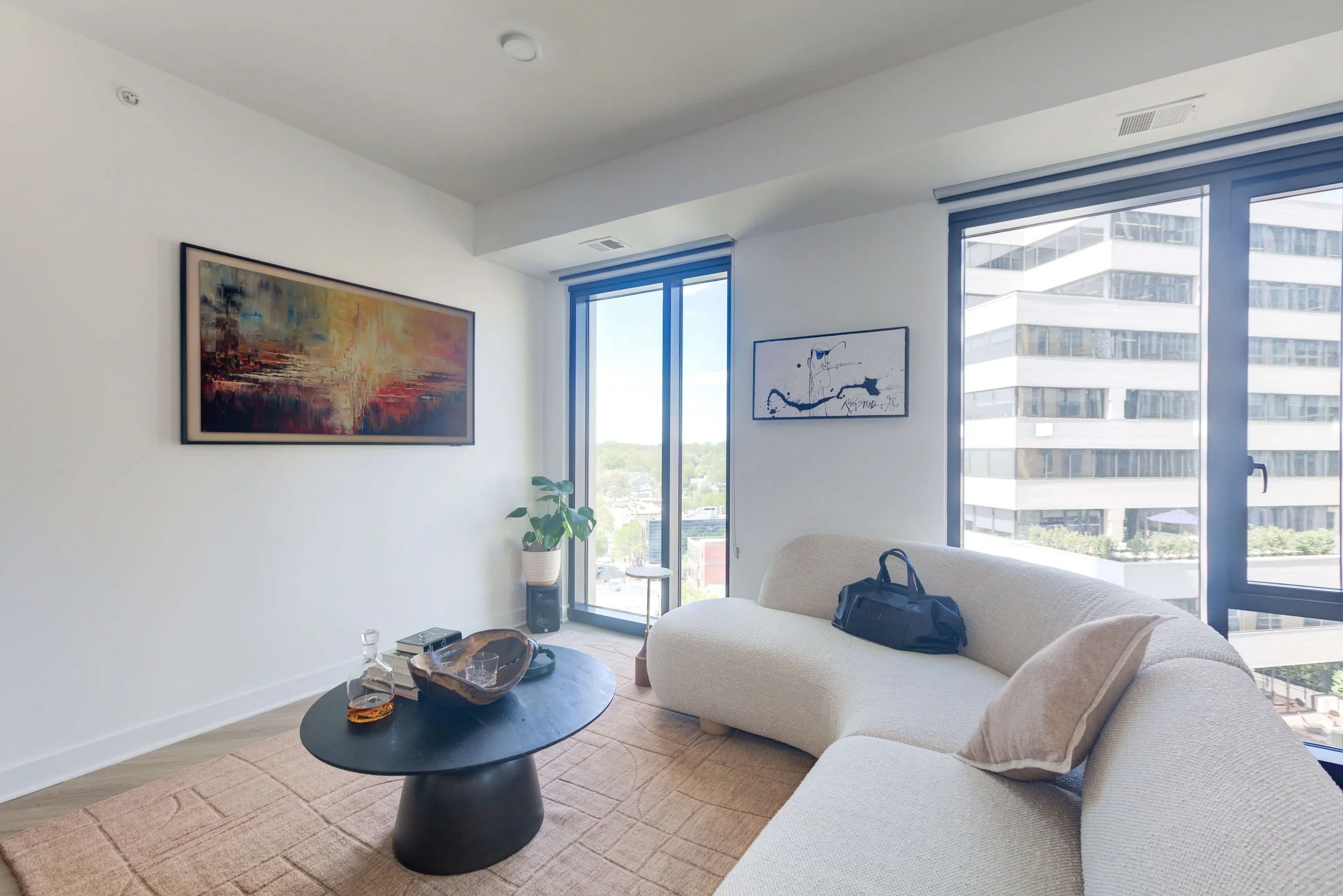 Chelt Interiors Bethesda The Elm Condo Interior Design 9.JPG