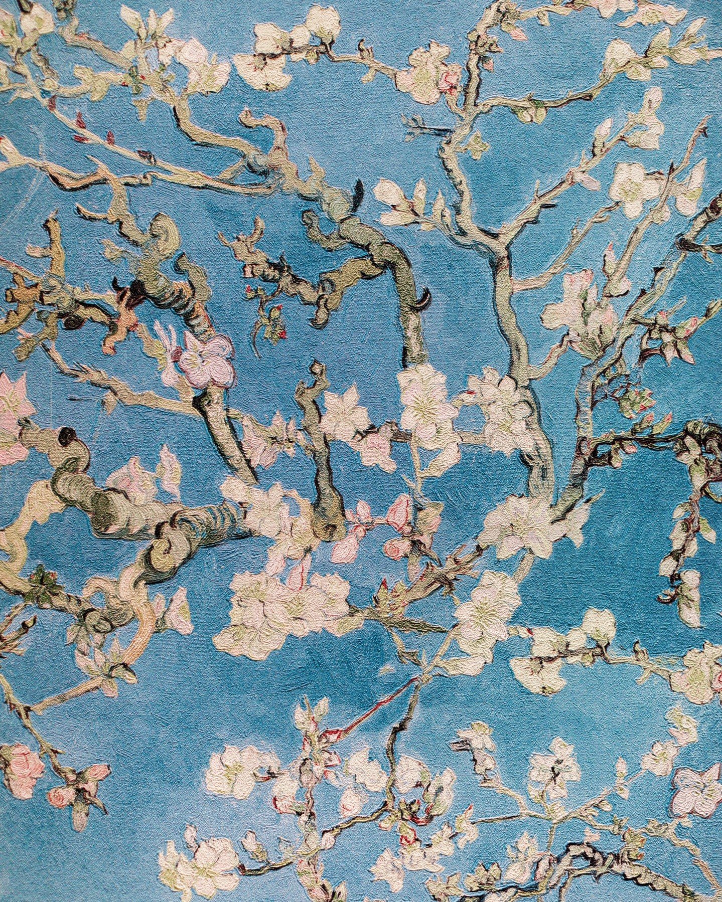 Wallpaper carries one of the longest lead times of any project I take on, and it is the one people leave latest.

Selection is quick. Everything after it is not. Papers from the mills worth using are frequently printed to order rather than held in st